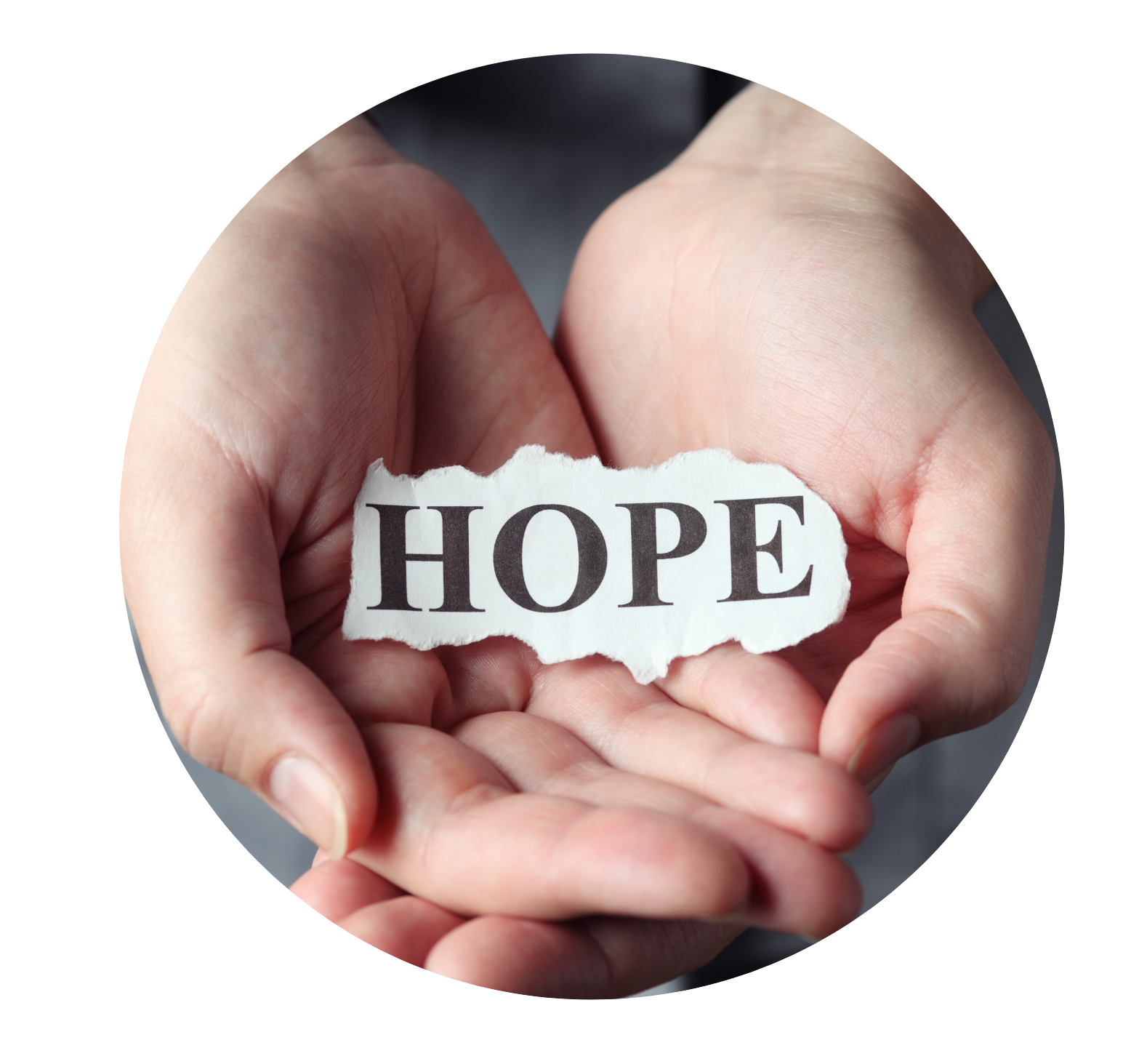 Services — Cooks & Collars