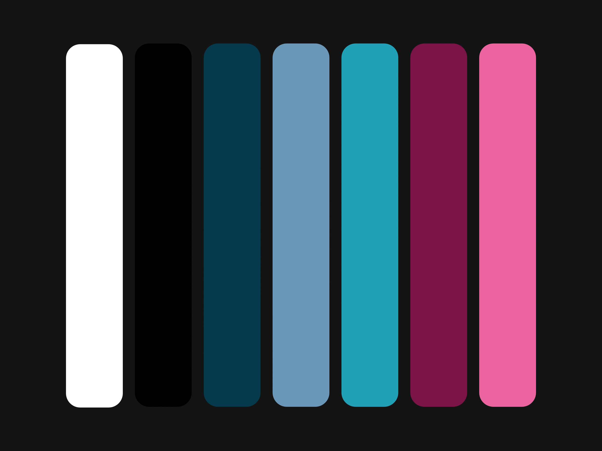 Bar Capital Color Palette Mockup 1.png