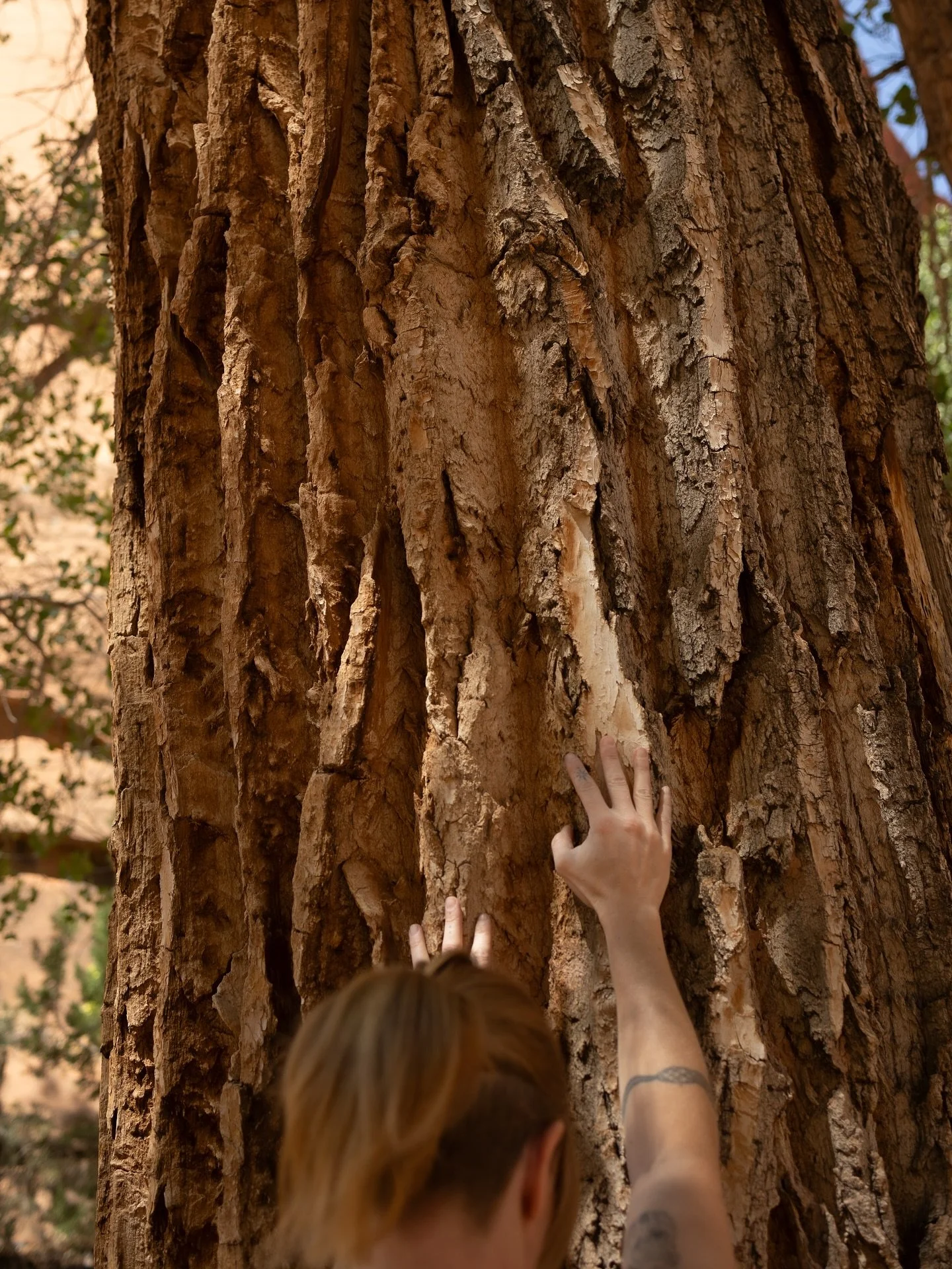 Roots &amp; Renewal: Reiki + Sound Healing
Limited-Time Autumn Session Pricing 

Step into a space where energy softens,
sound restores, and your whole being has the opportunity to remember Self.

Reiki calms and clears.
Sound opens pathways within.
