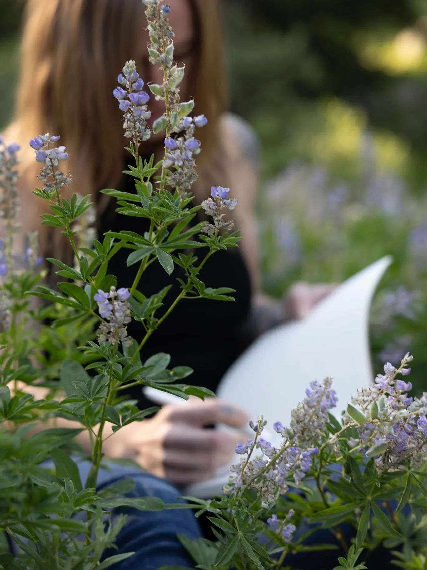 A space to slow down, listen deeply, and remember who you are.
Inner Compass is a 12-week 1:1 journey designed to guide you home — to your own inner wisdom.
DM for more info… I’d love to walk alongside you. 
📷 @terrafirma.photo