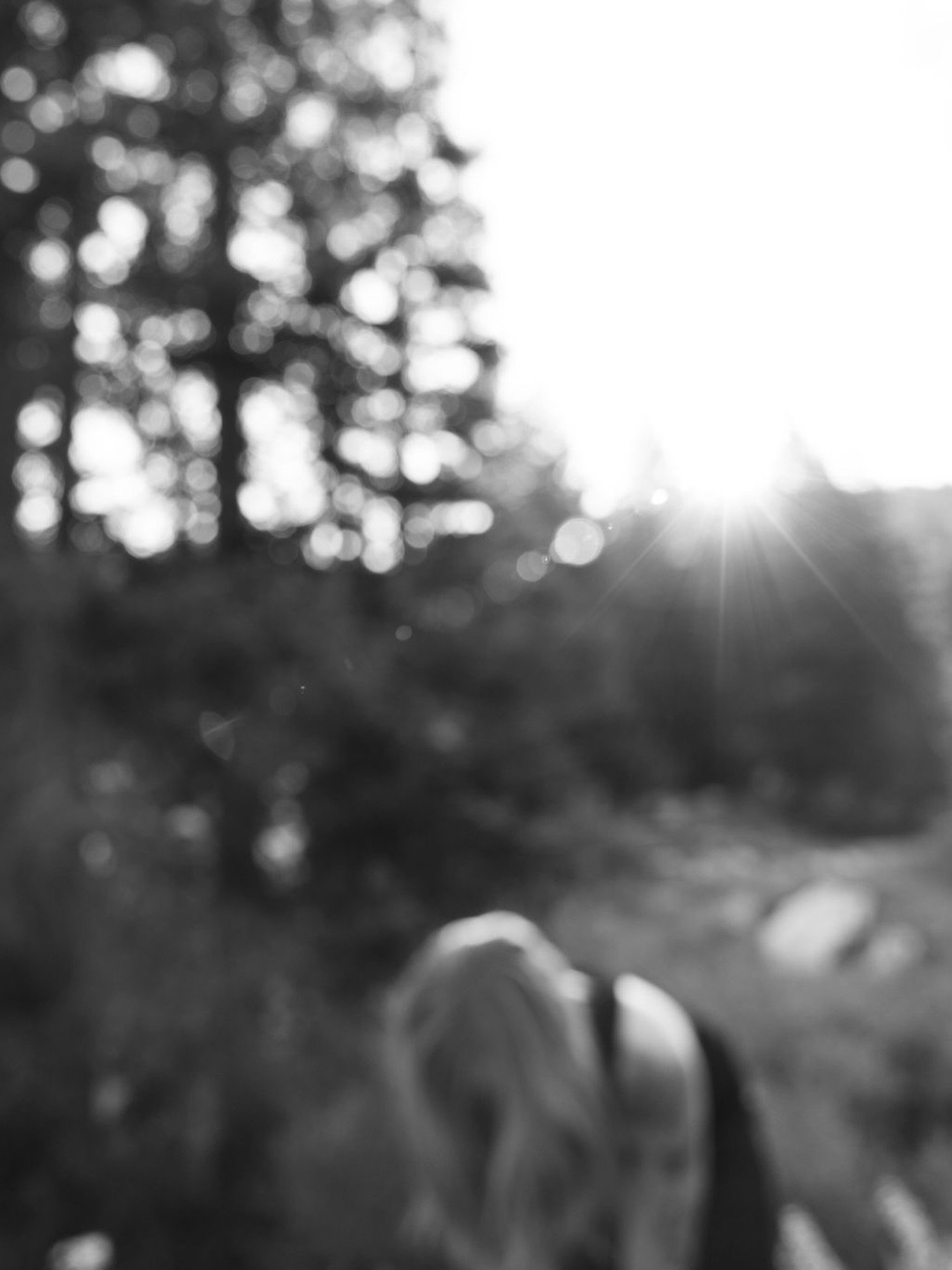 This season, whether it&rsquo;s a literal winter or an internal one, might be calling you back to that holy torpor. Not collapse. Not giving up. But a conscious, intentional return to the body&rsquo;s own wisdom:

Slow down. Let the breath be small. 