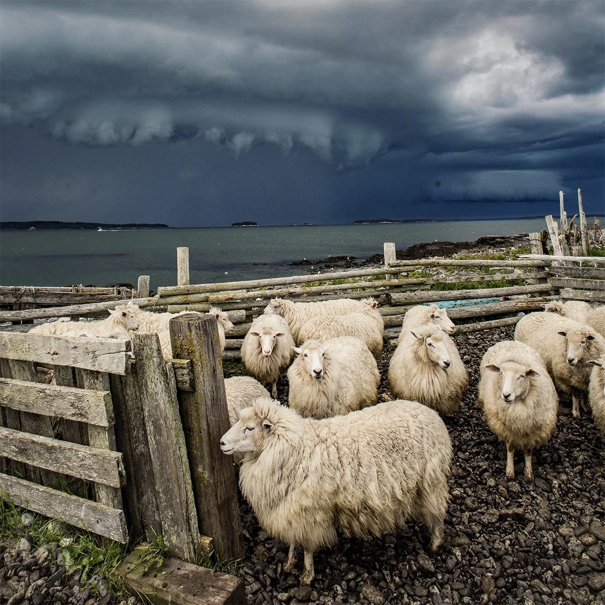 041_stormfavenash.jpg