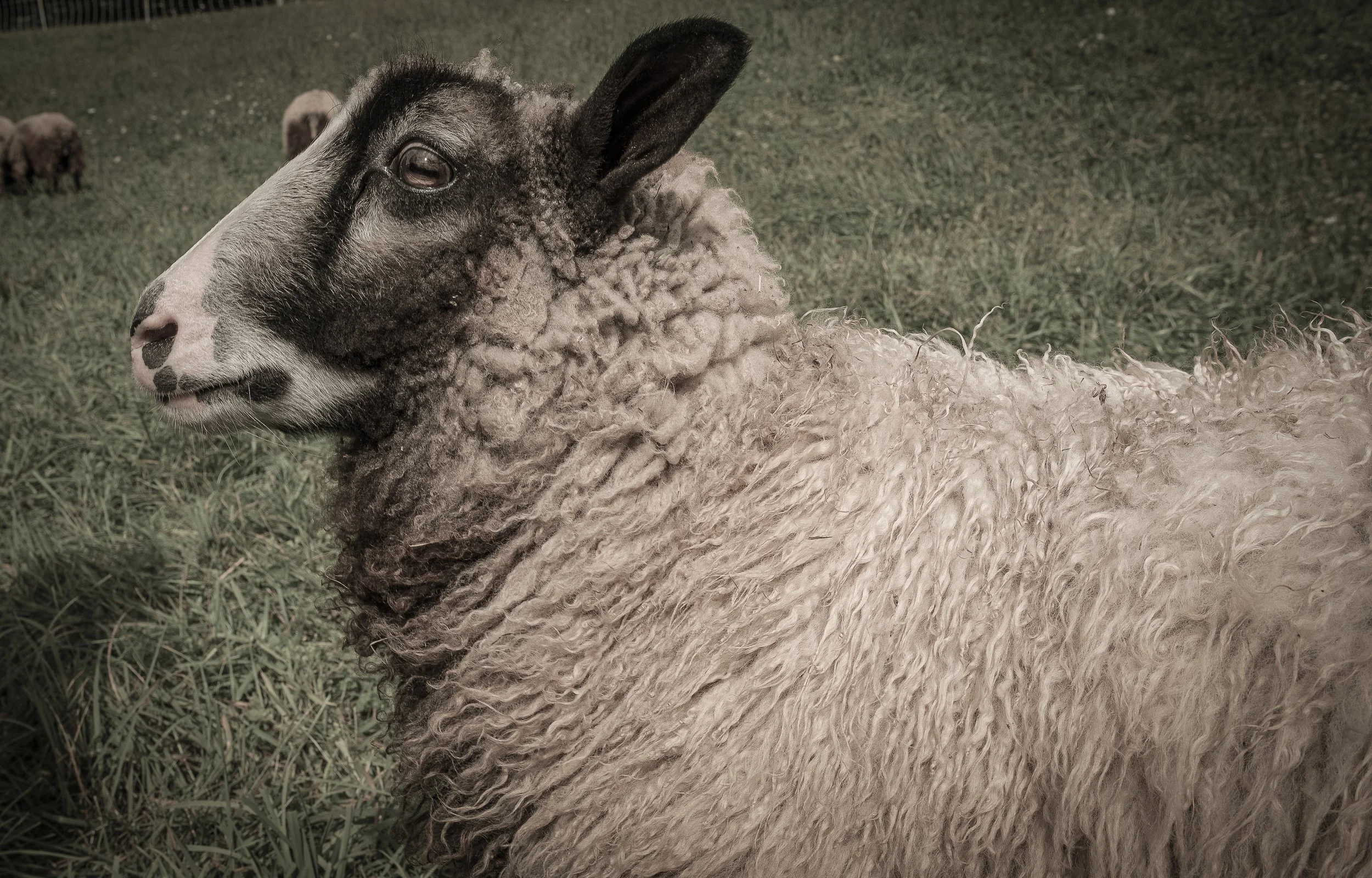 13538_zucker20190905.jpg