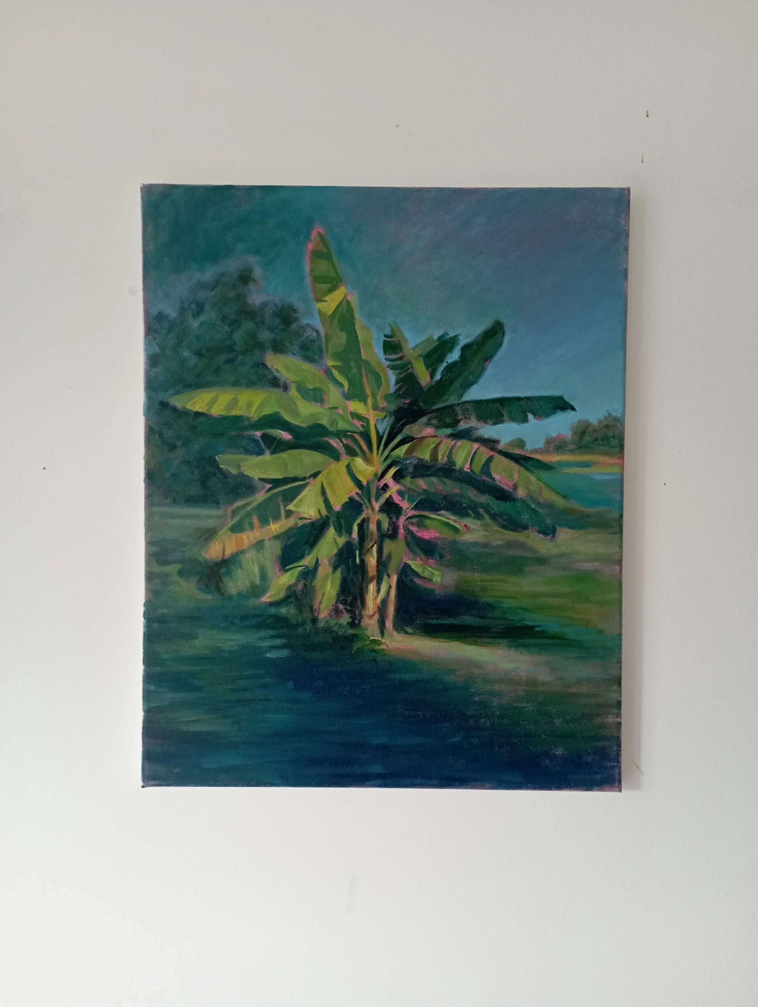 1767693063940 (1).jpg