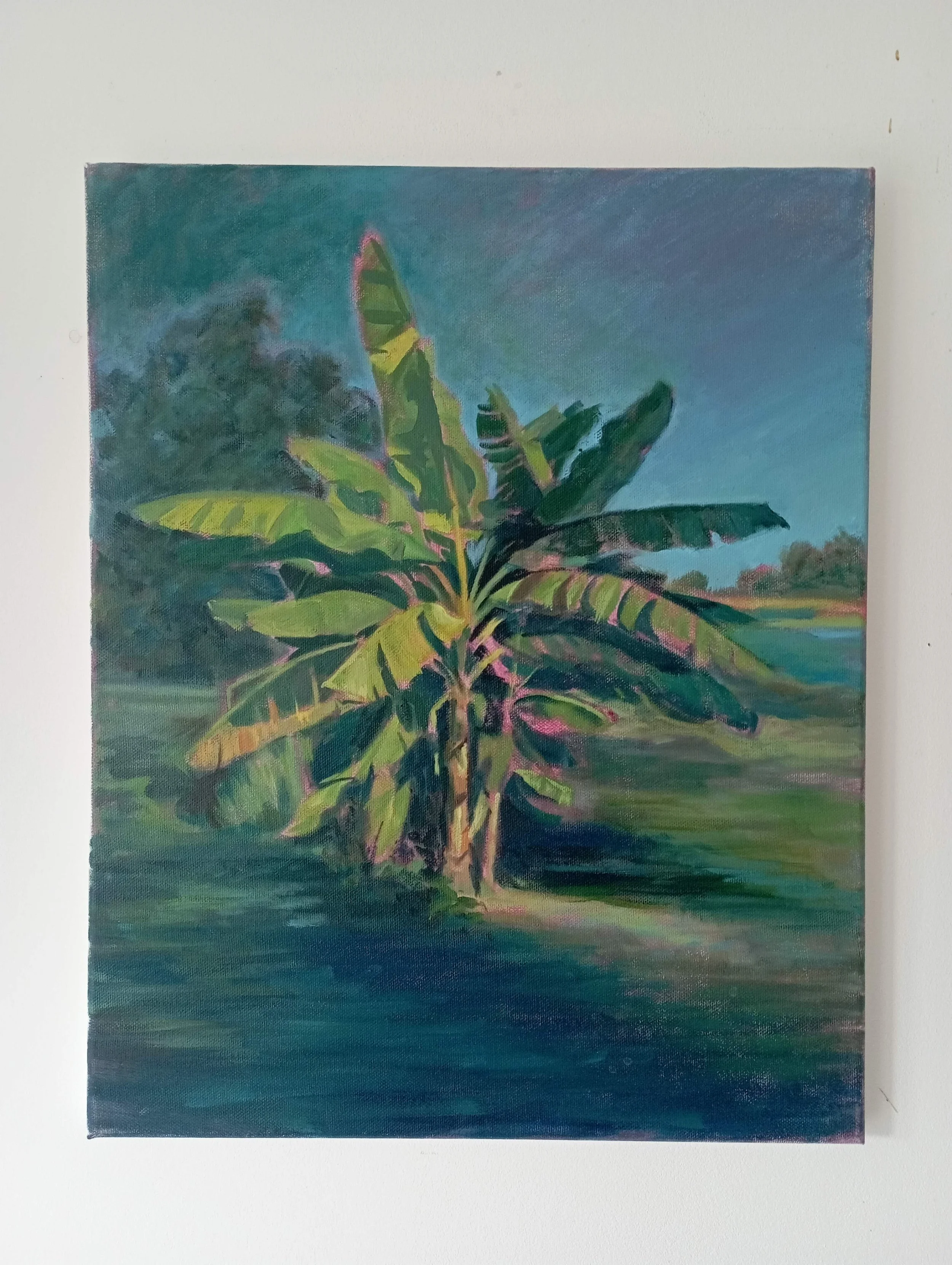 1767693063915 (1).jpg