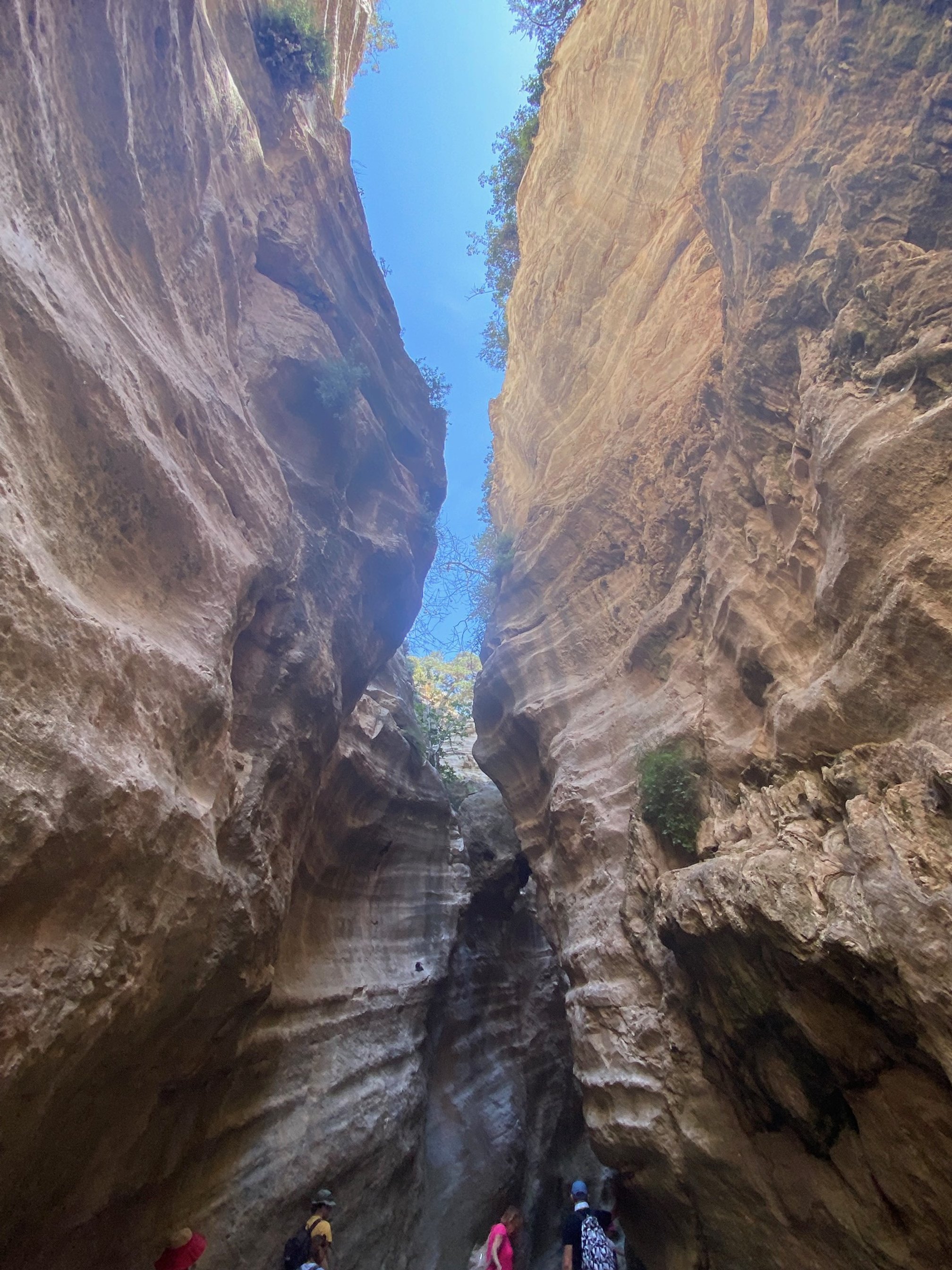 Zypern Rundreise: Avakas Schlucht und Akamas 