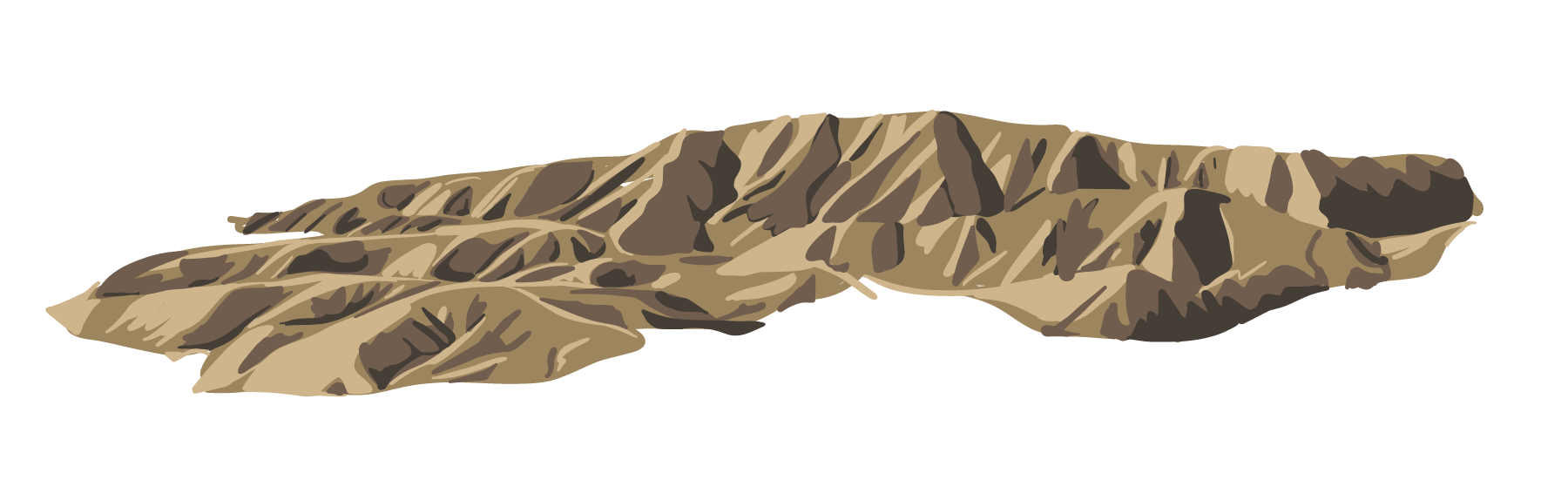 magazine_drawings-01.png