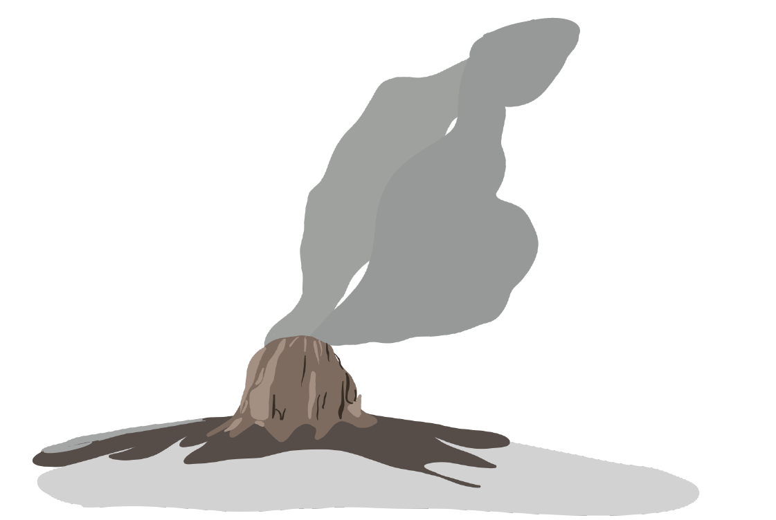 magazine_drawings-02.png