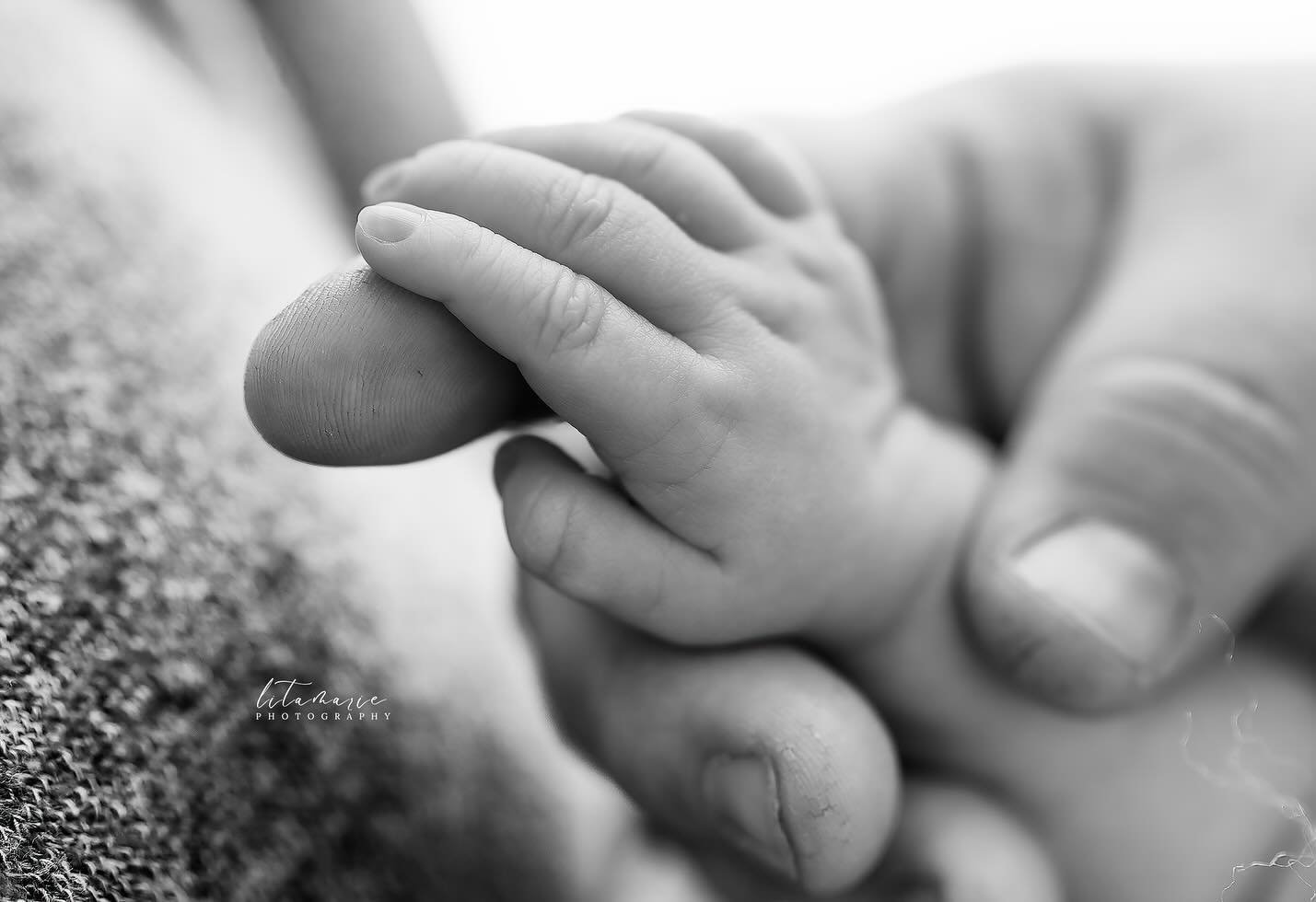 Details 🤍
&bull; &bull; &bull;
#ndphotographer #northdakotaphotographer #northdakotanewbornphotographer #newbornportraits #newbornphotography #newbornphotographer  #minotndphotographer #rugbyphotographer