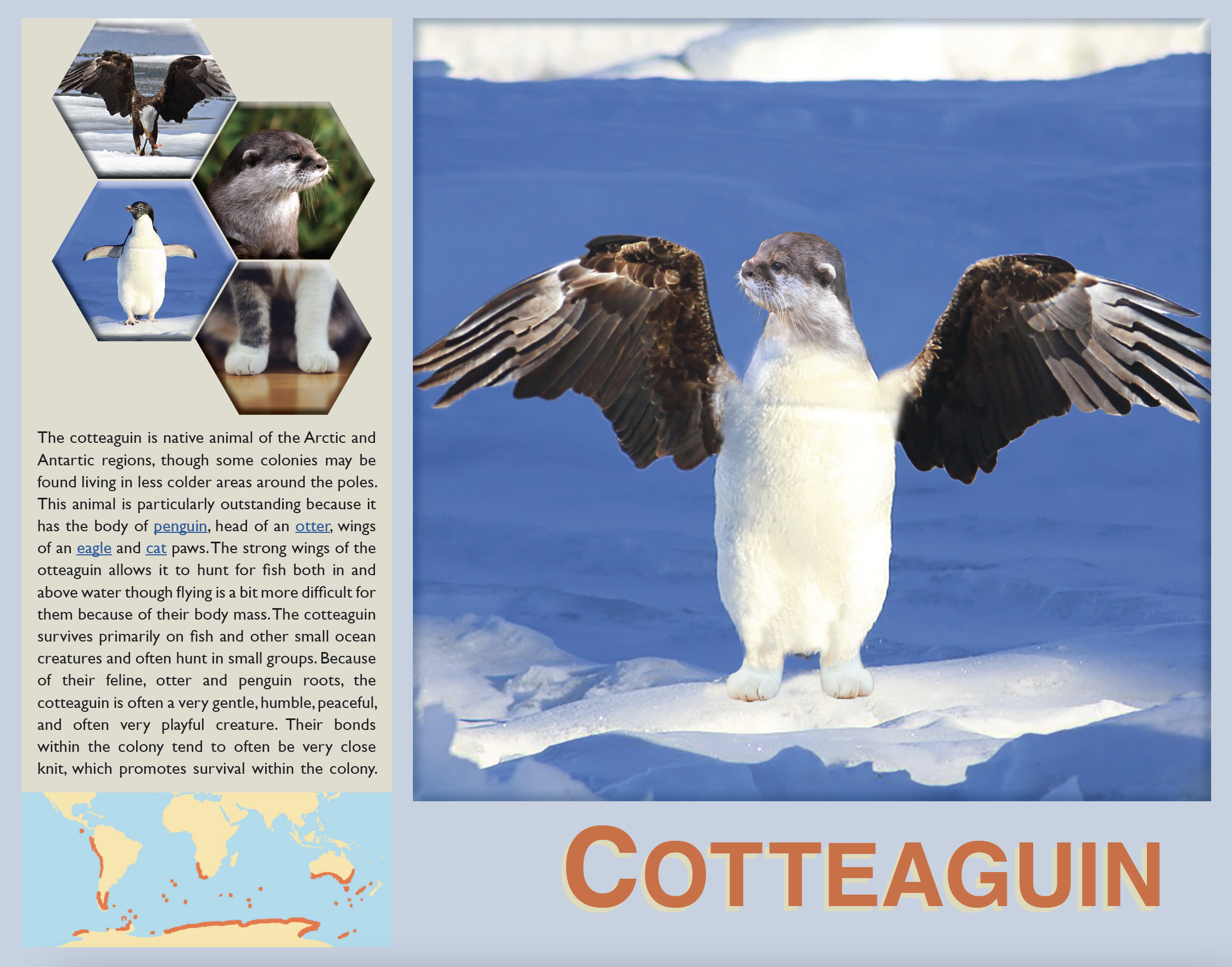 Cotteaguin Chimera Information Spread (print and digital)