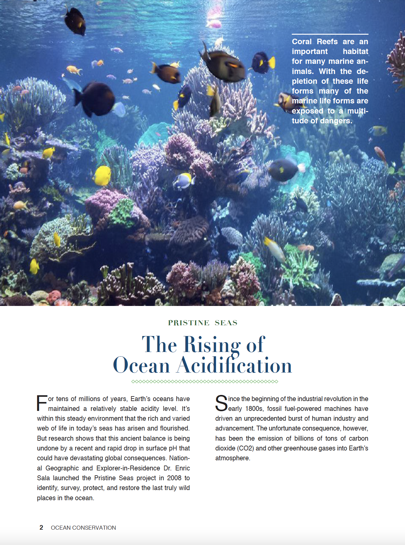 Magazine Spread Design on Ocean Acidification (print)