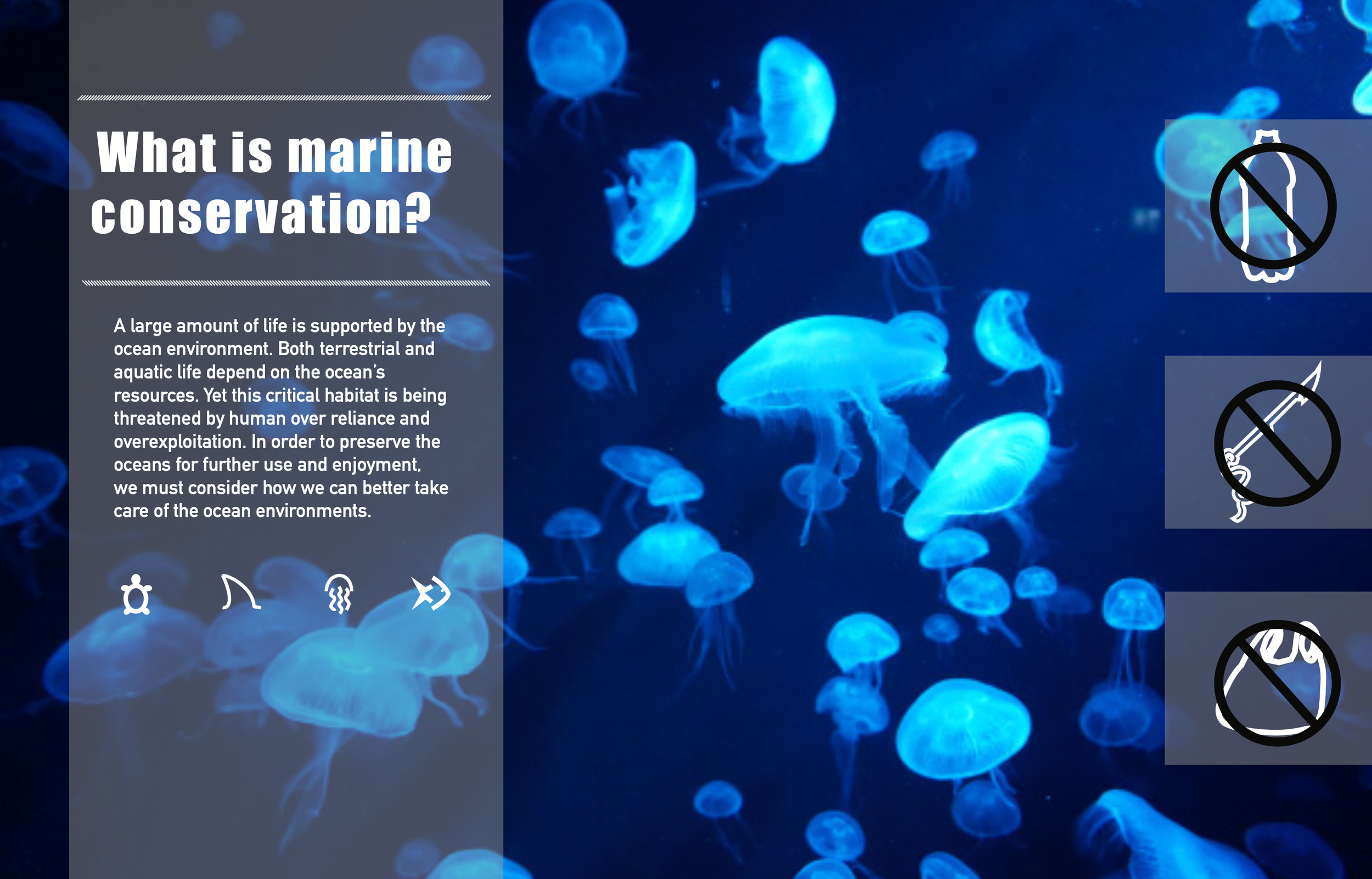 Marine Conservation Poster (print and digital)