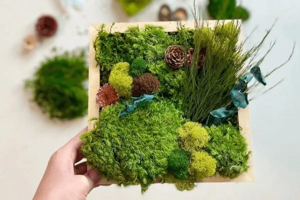 Moss Art Class