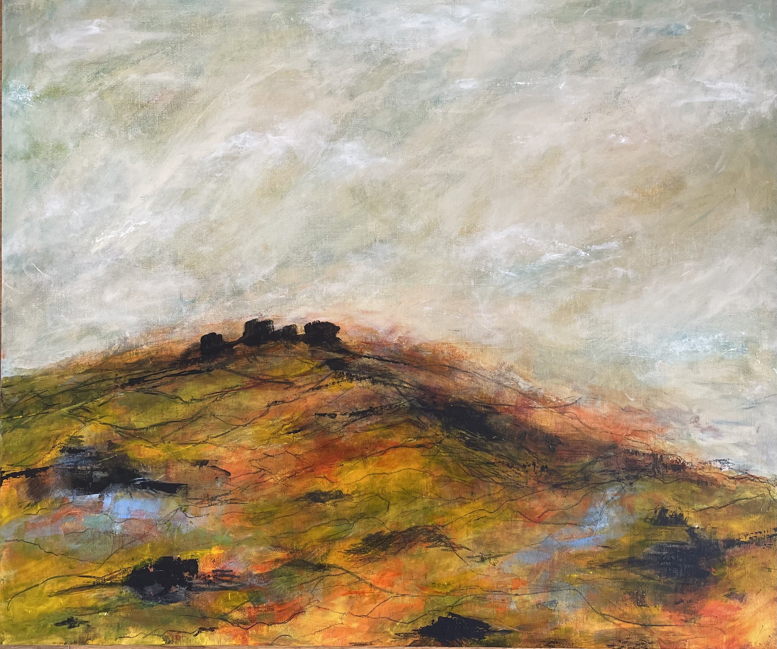 Leeward Dartmoor .jpeg
