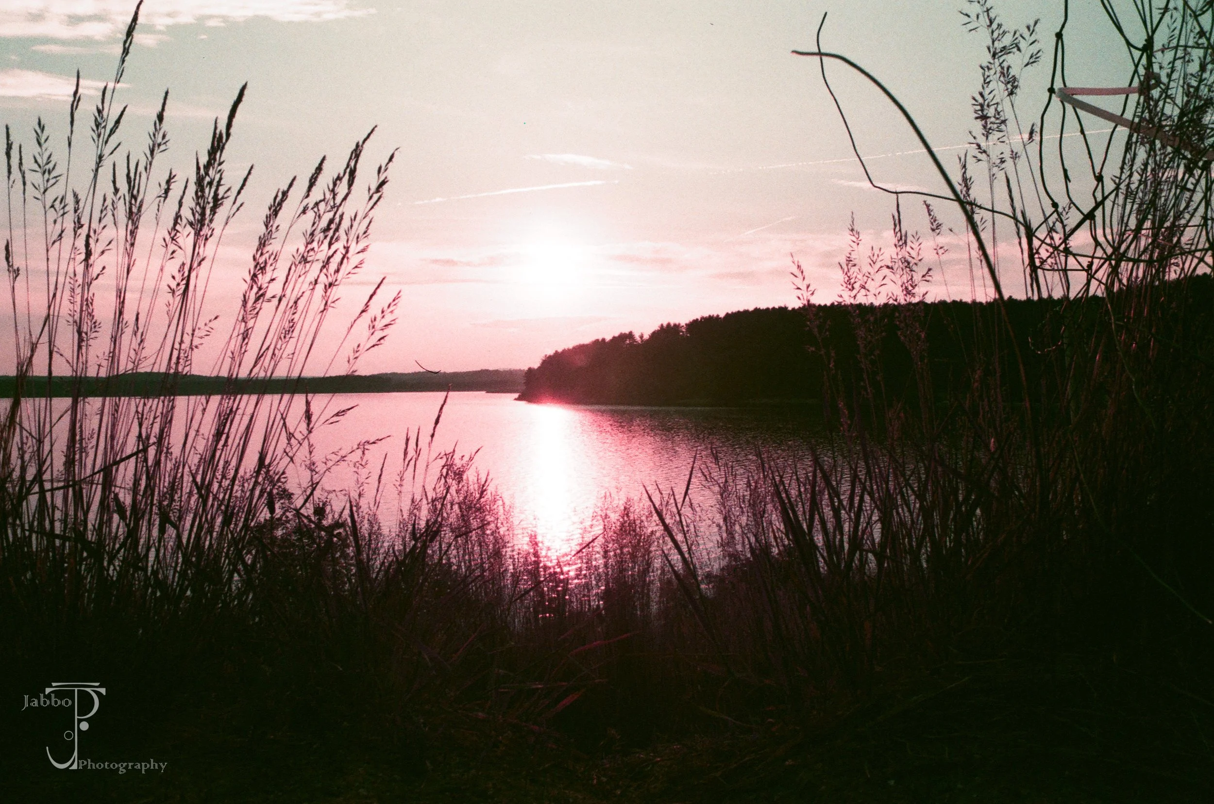 "Mossflower's Veiw"
