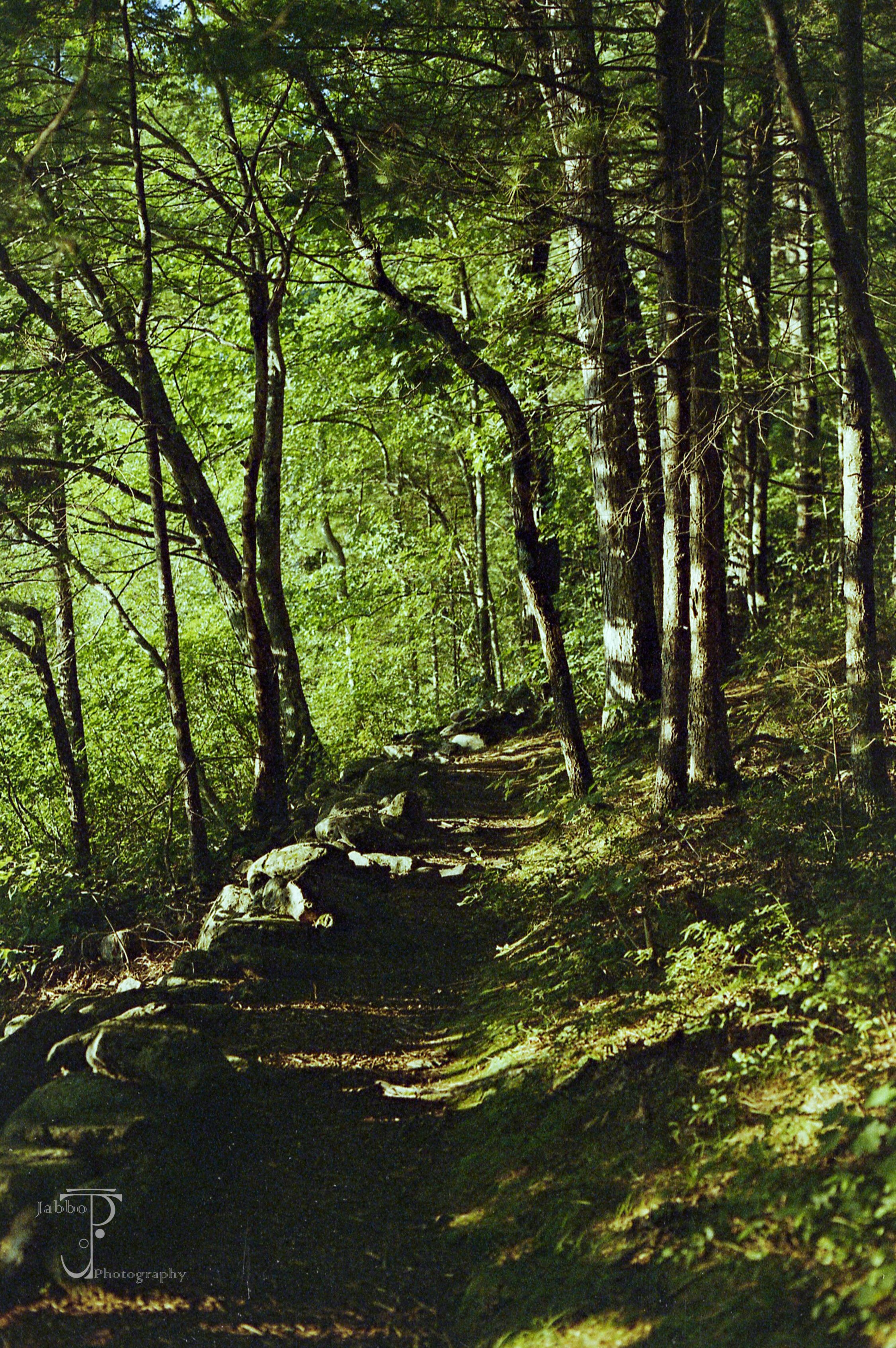 "Path Up The Mountain"
