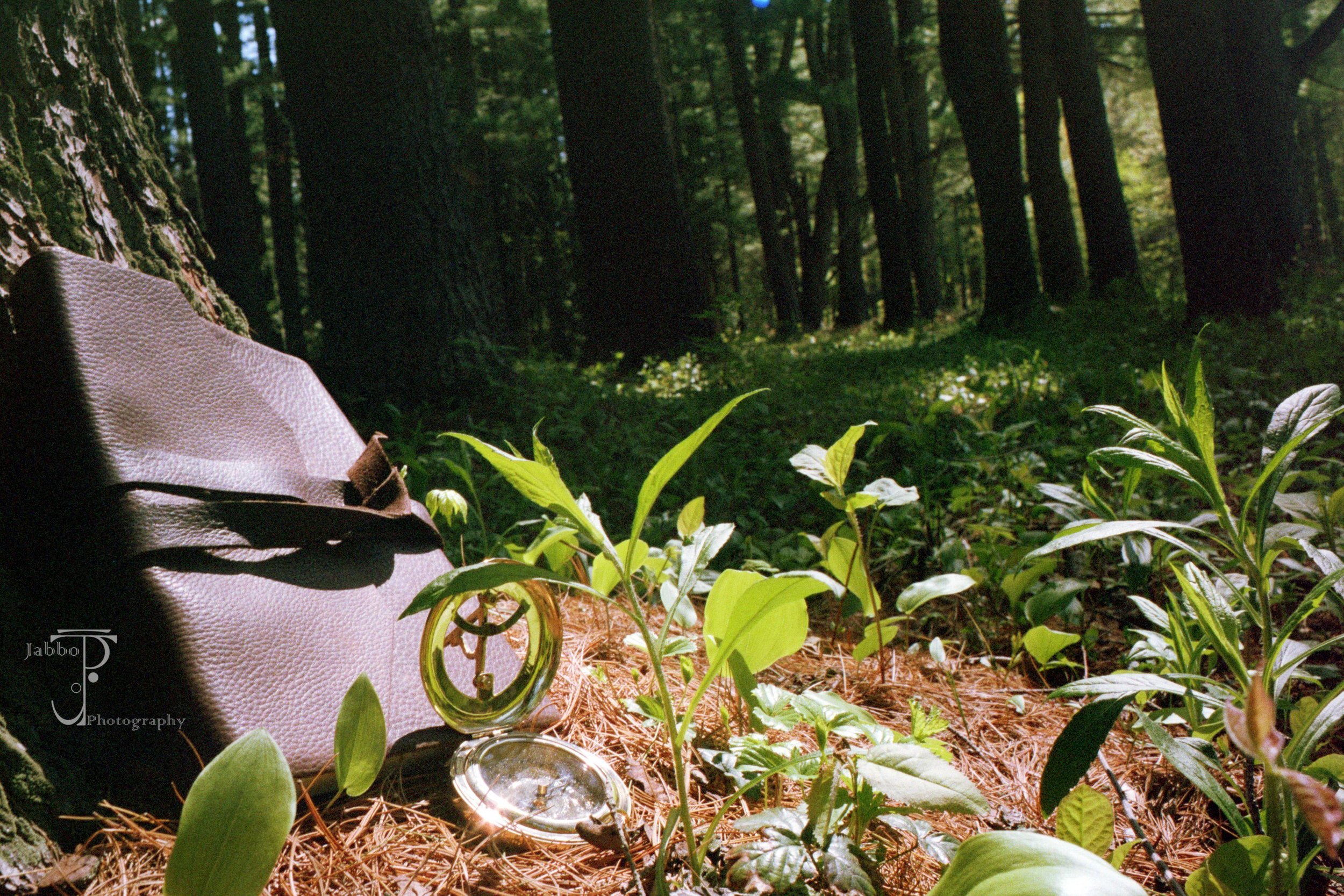 "There And Back Again"
