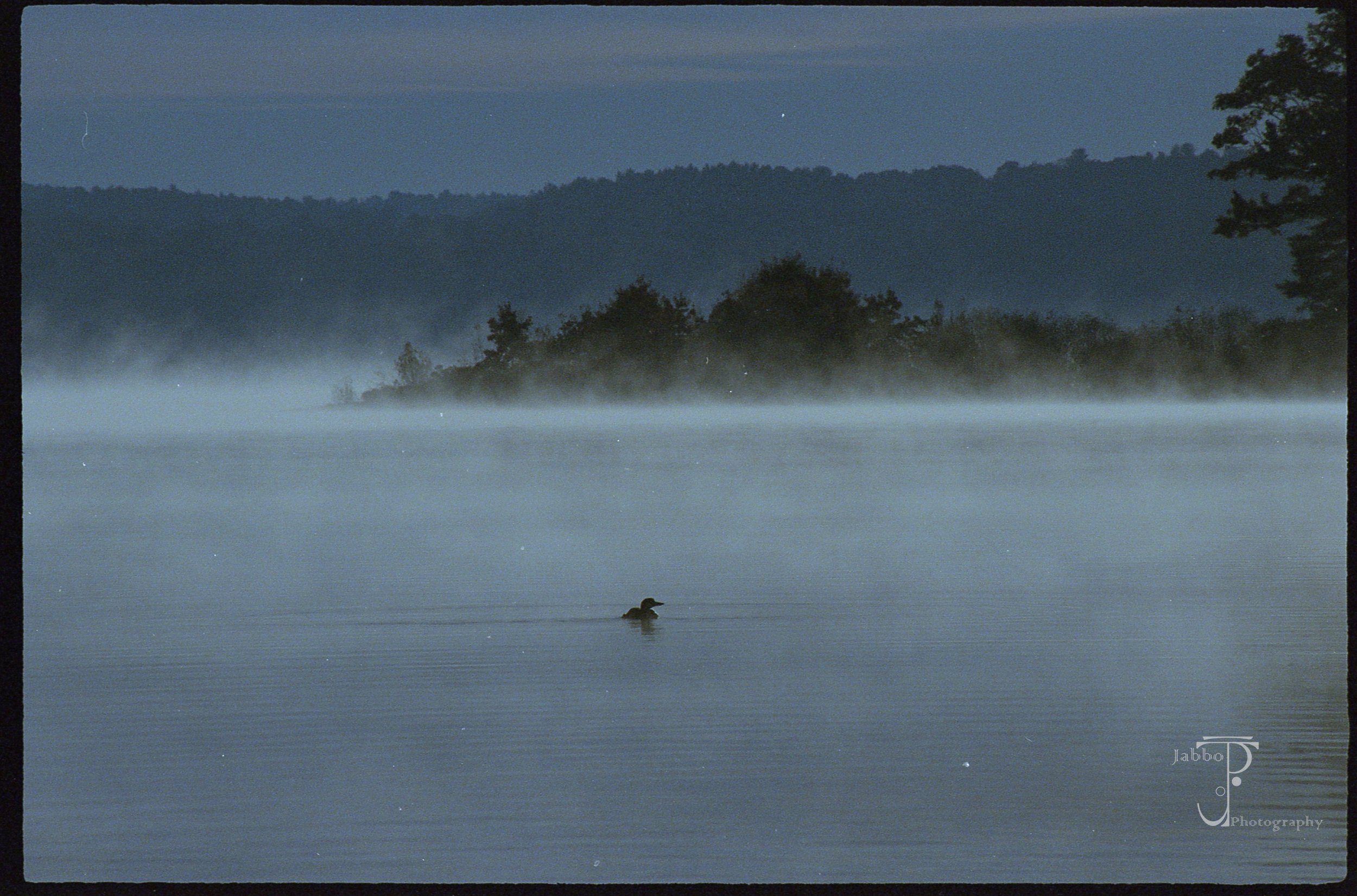 "Morning On The Water"

