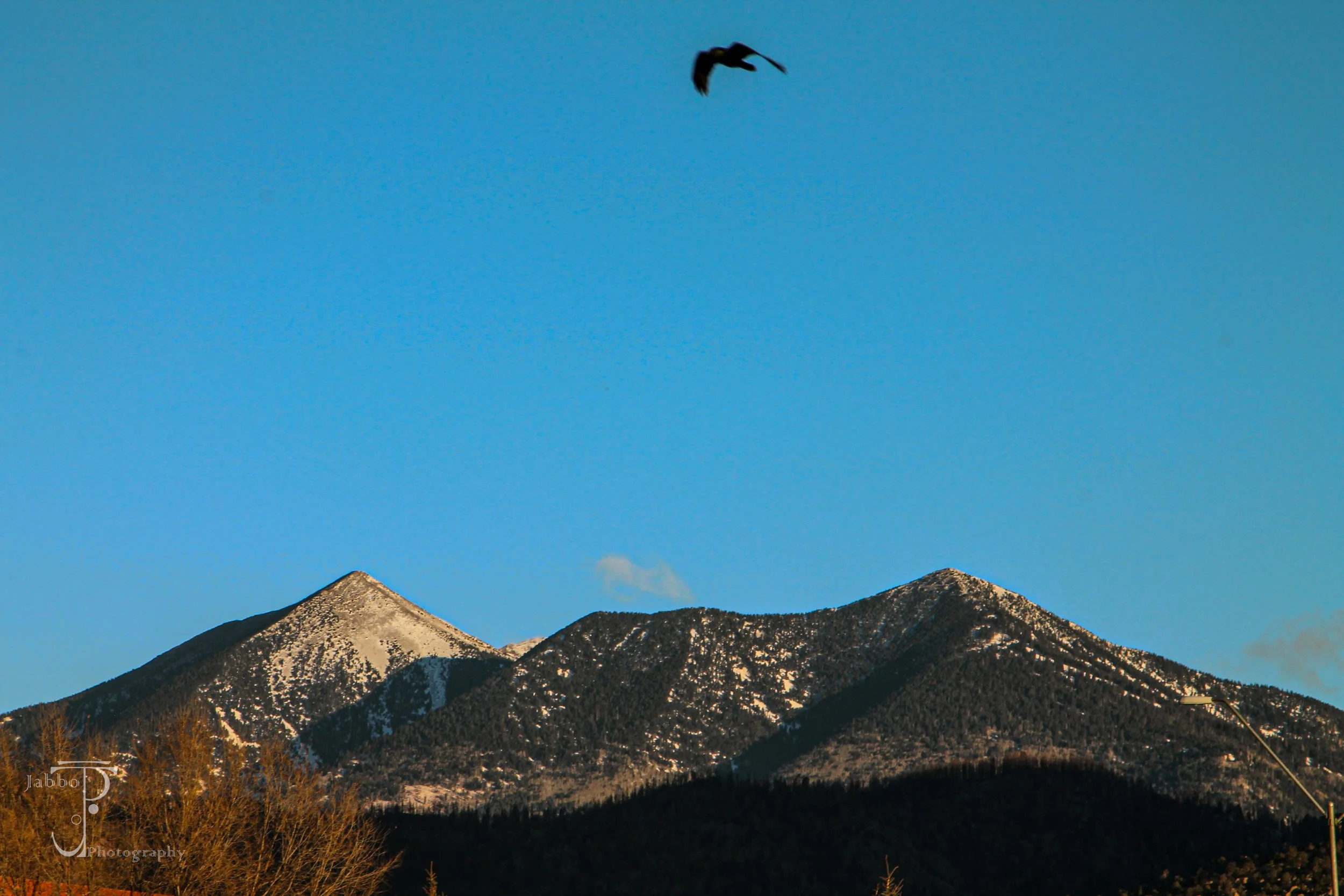 "Humphrey's Peak"