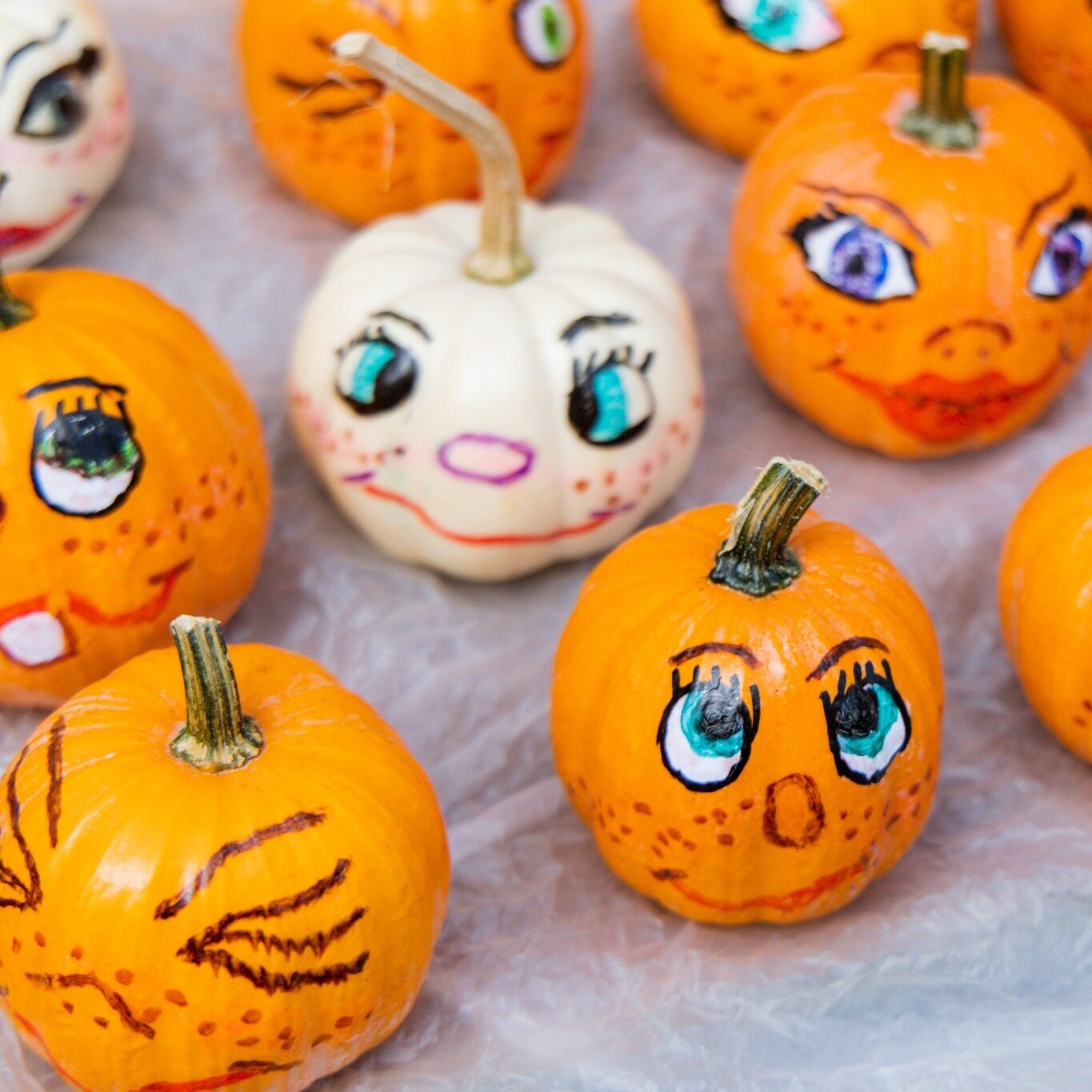 Pumpkin Picasso? 🎨🎃There are definitely some talented makers here in Cincinnati! Stay in the loop by joining our email list at secondsundayonmain.org and never miss a beat.

Photo: Erin Matulis Photography