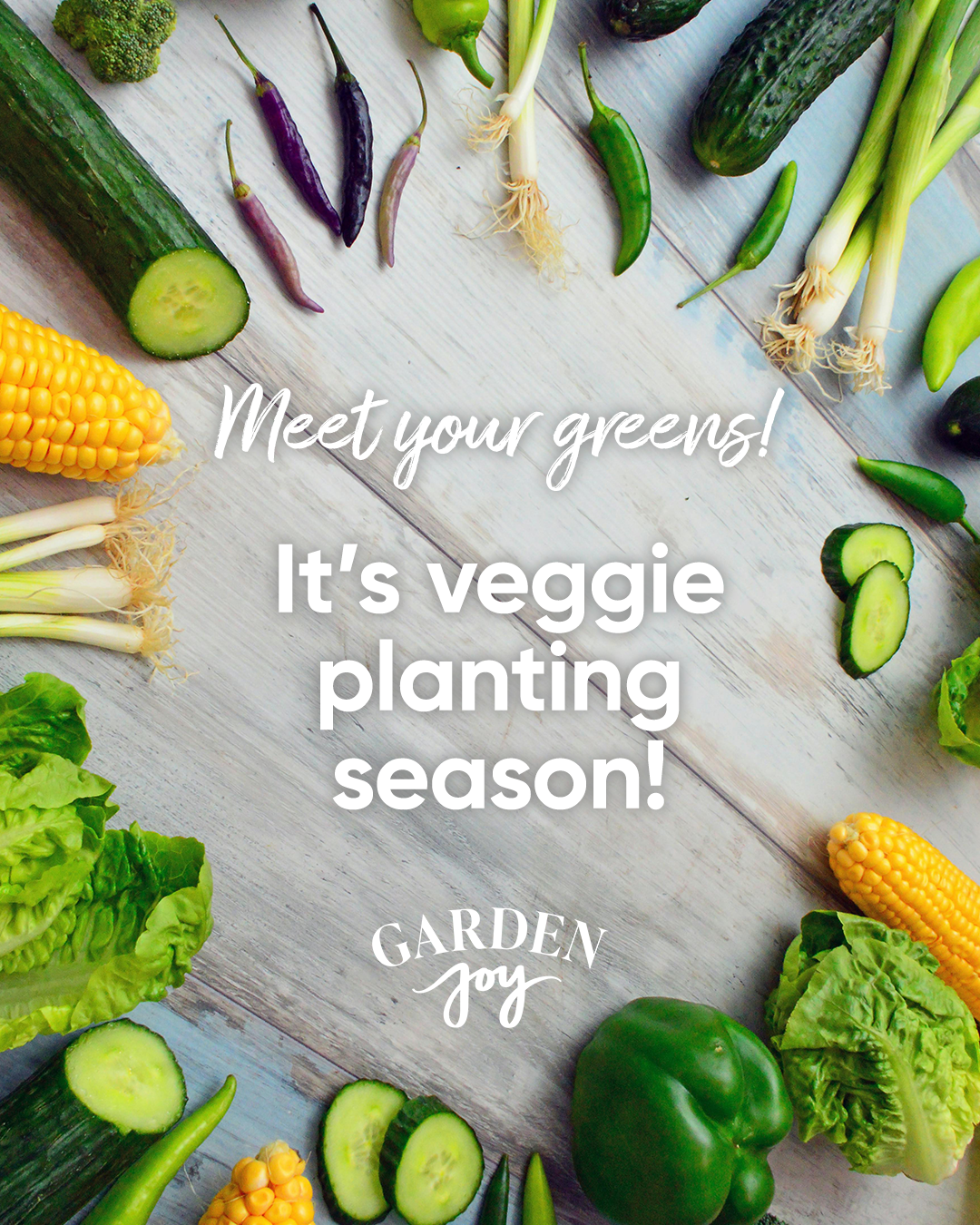 VeggiePlanting.png