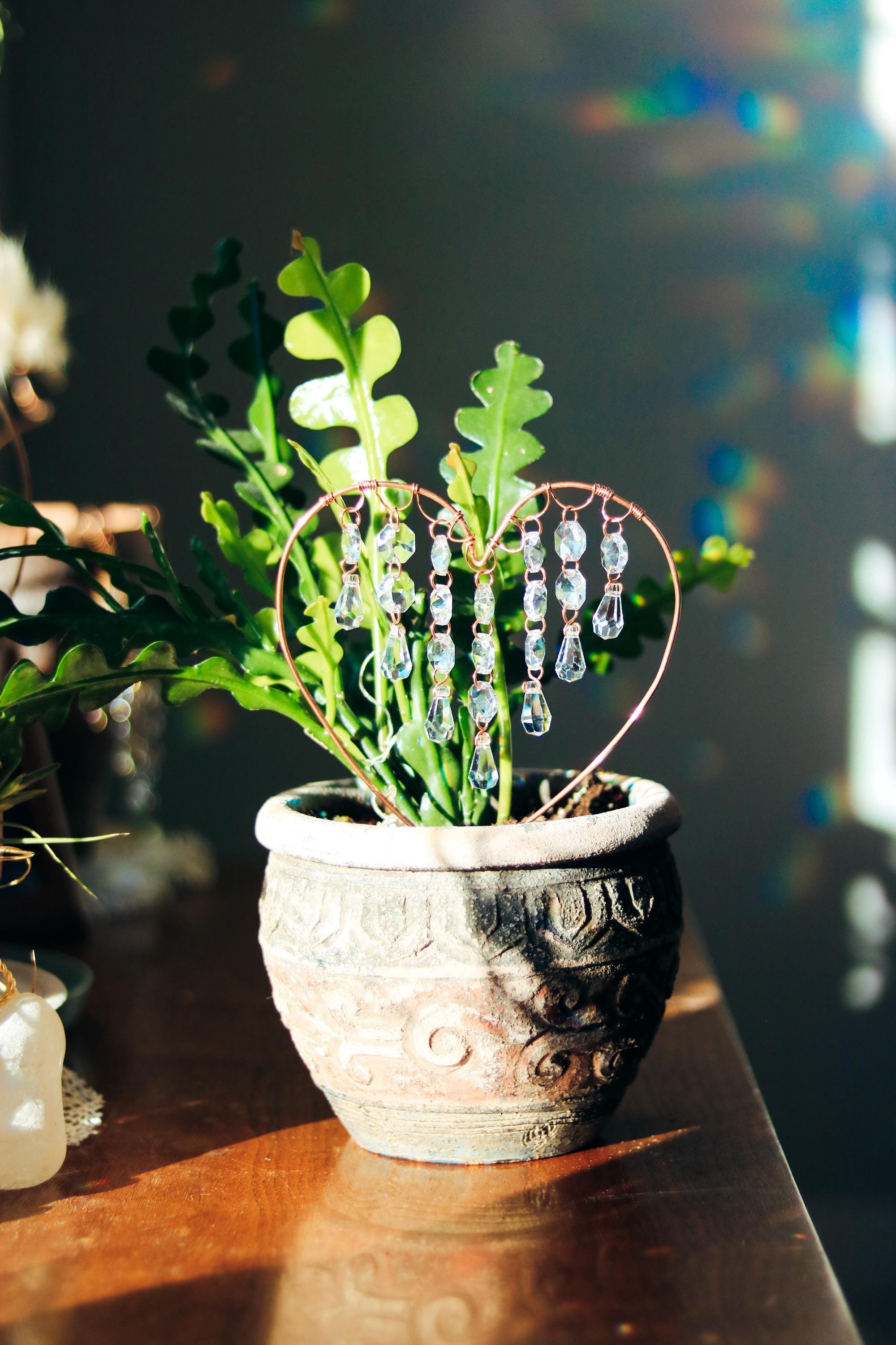 https://i.etsystatic.com/54647045/r/il/1ac60d/6594819750/il_fullxfull.6594819750_pxv5.jpg