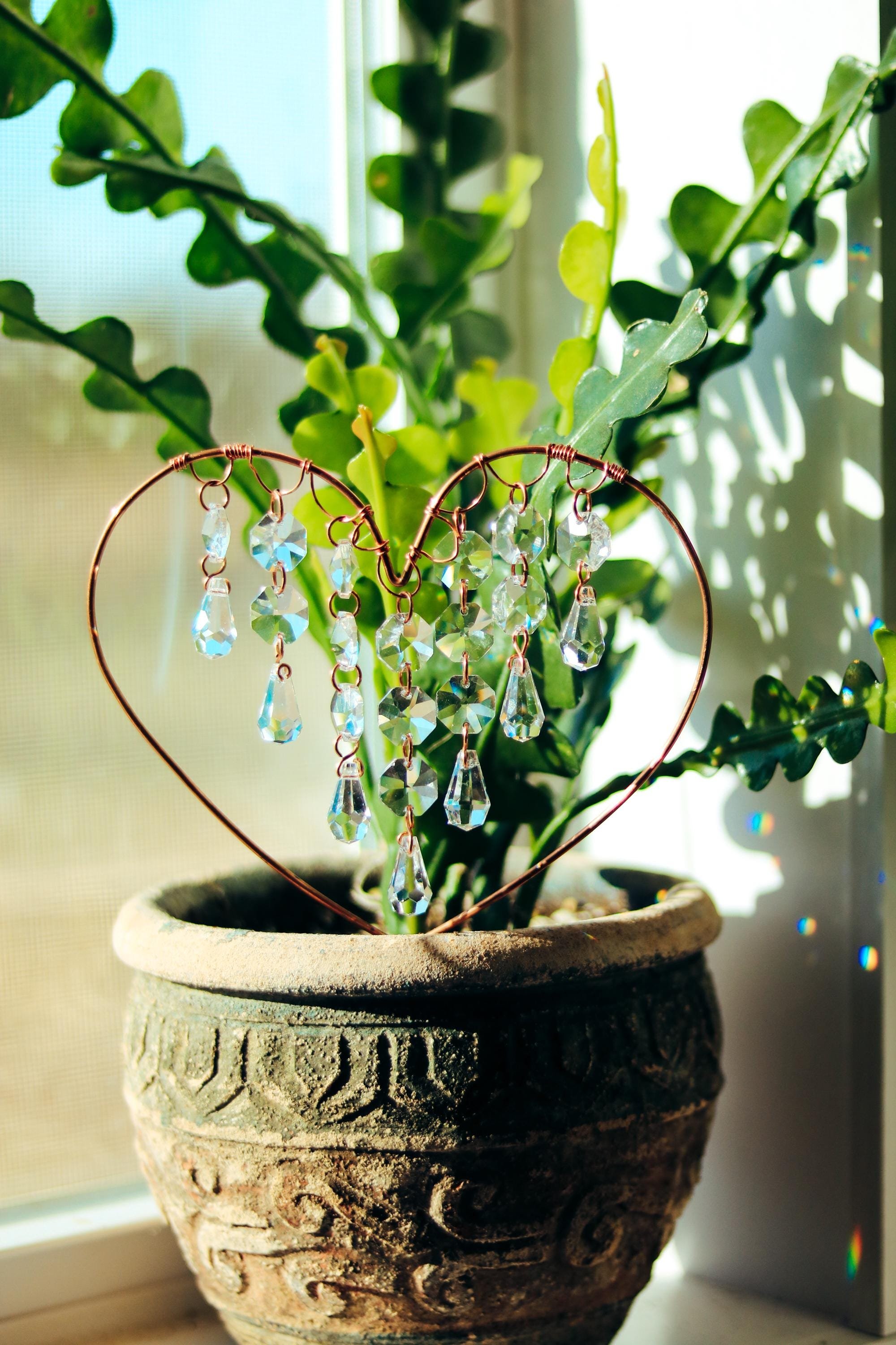 https://i.etsystatic.com/54647045/r/il/2d370d/6594823732/il_fullxfull.6594823732_7fv2.jpg