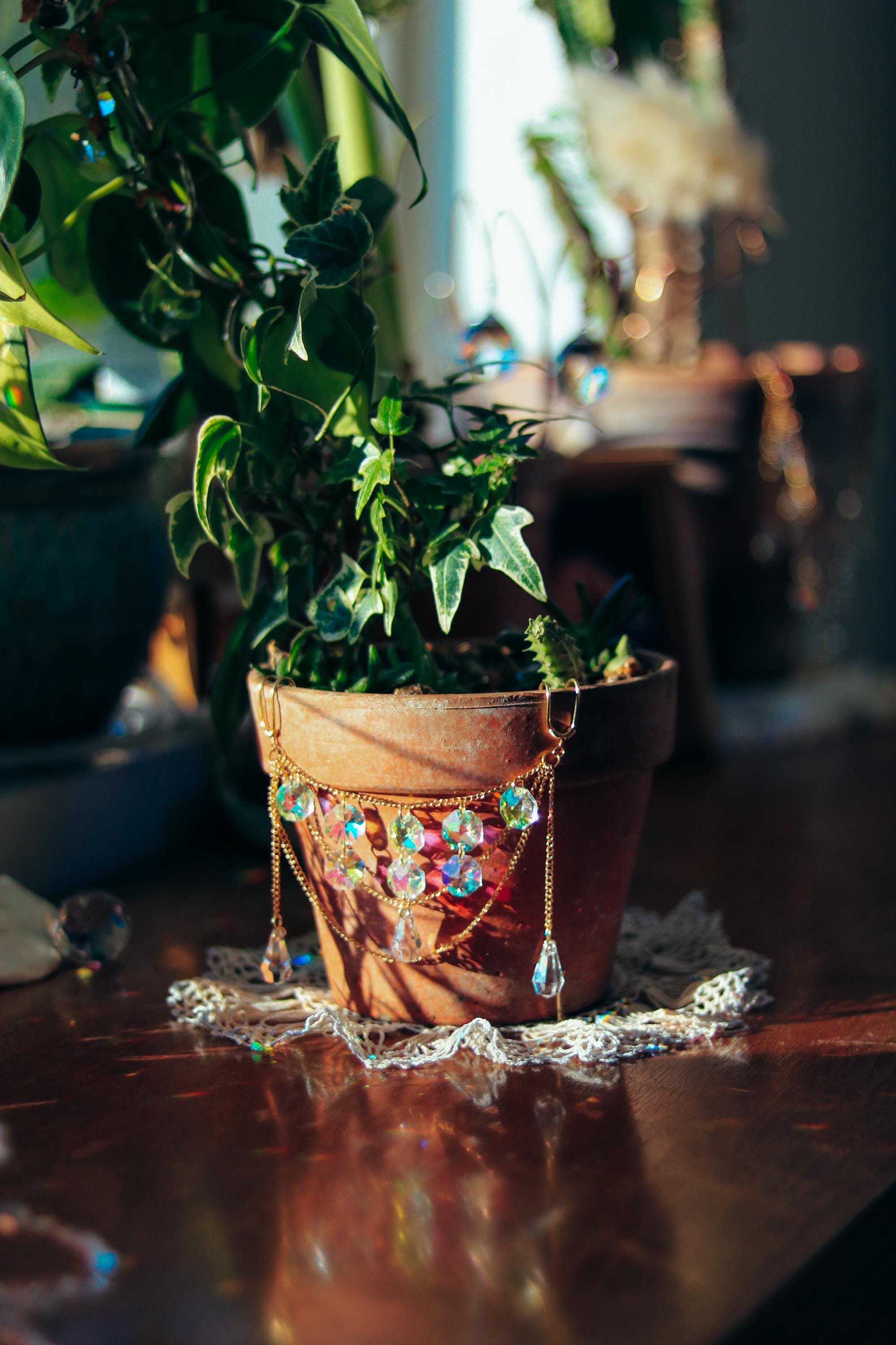 https://i.etsystatic.com/54647045/r/il/0192ba/6594791524/il_fullxfull.6594791524_p1j7.jpg
