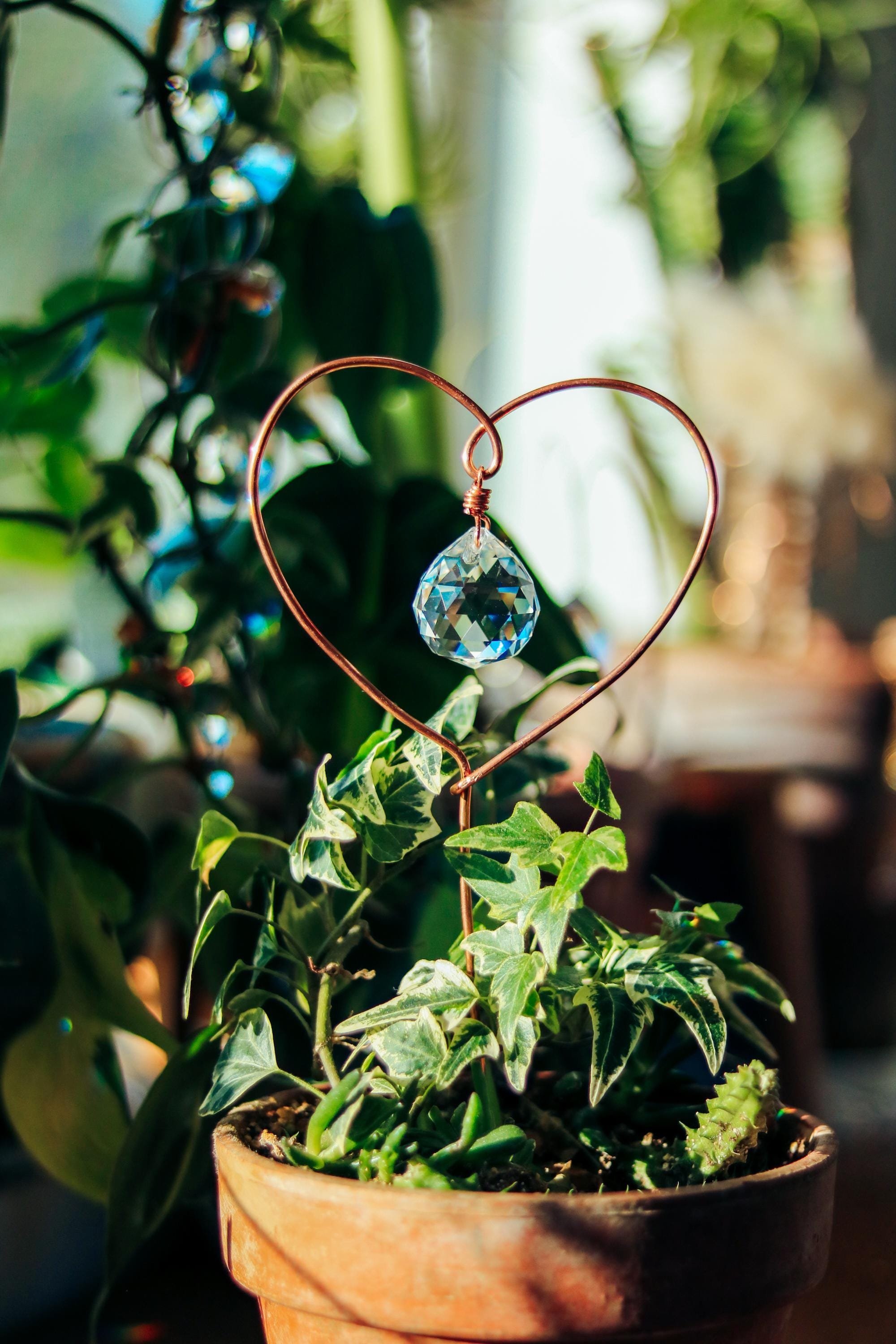 https://i.etsystatic.com/54647045/r/il/6761e3/6594741438/il_fullxfull.6594741438_ikmb.jpg