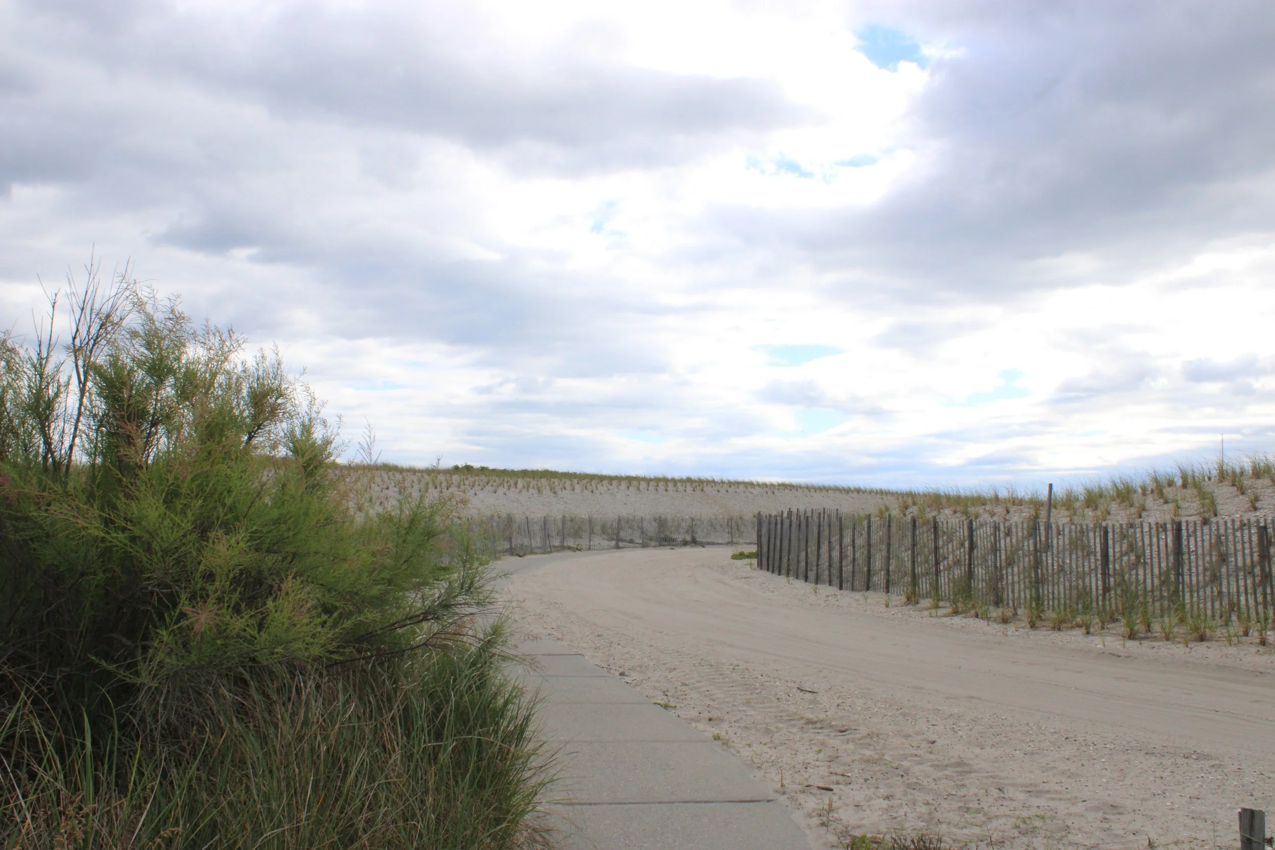 Point O’ Woods Fire Island’s Hermit Community — Fire Island News