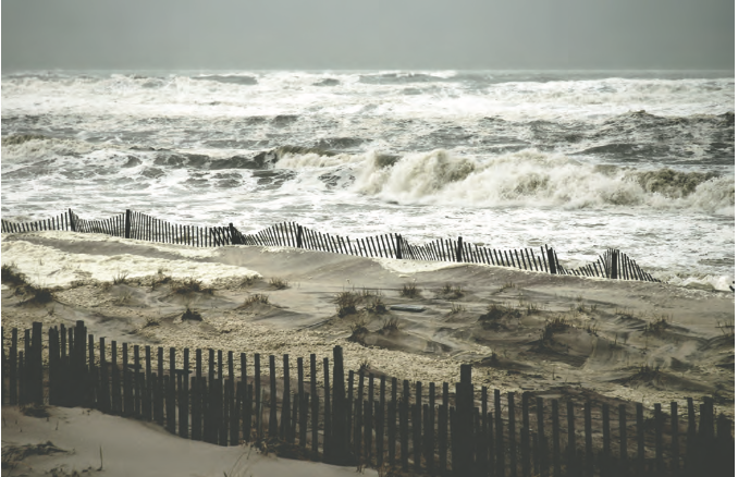 Blog 2 — Fire Island News