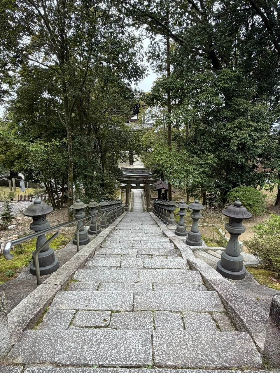 temple staircase.JPG
