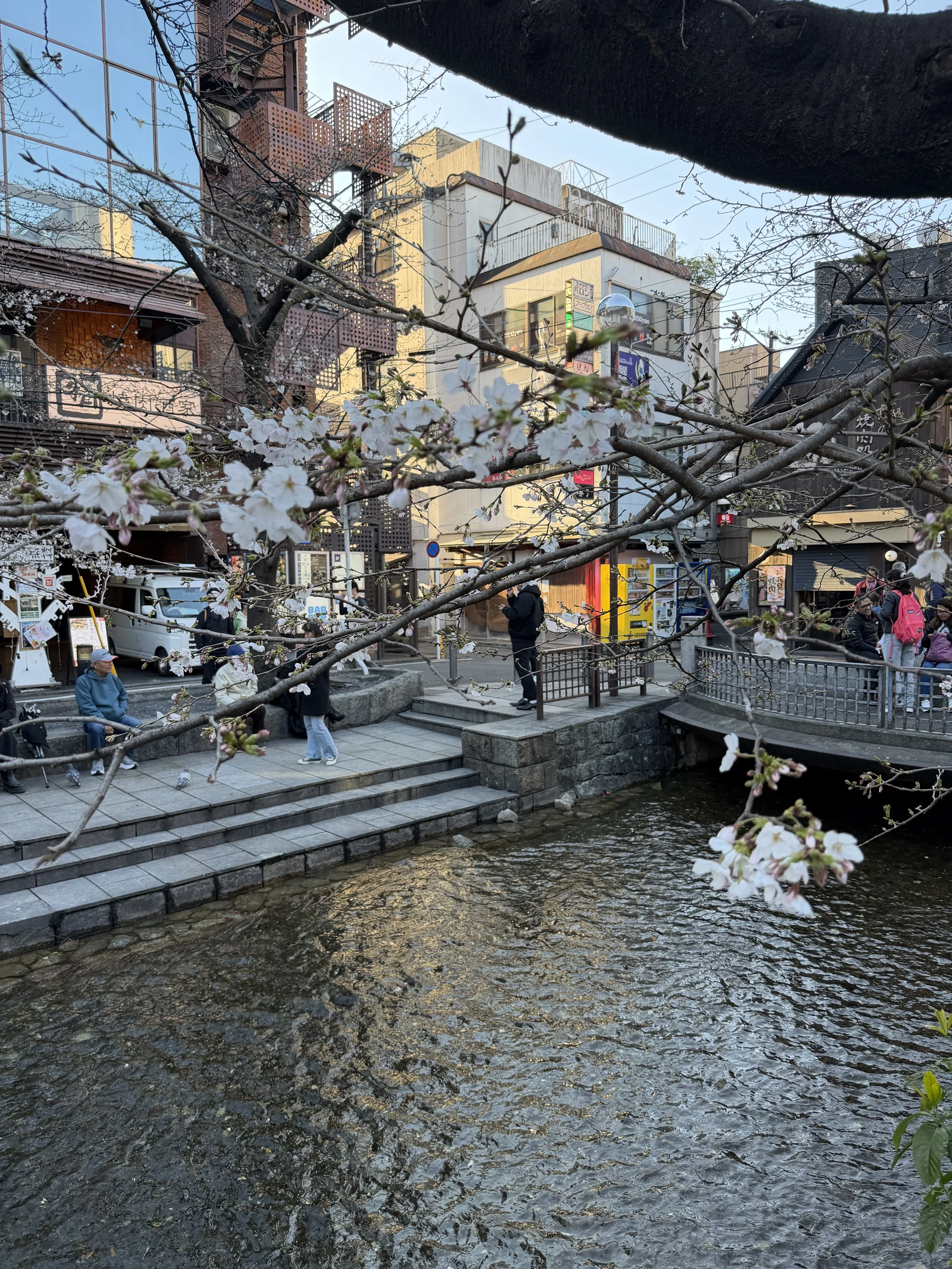 kytoto river best.JPG