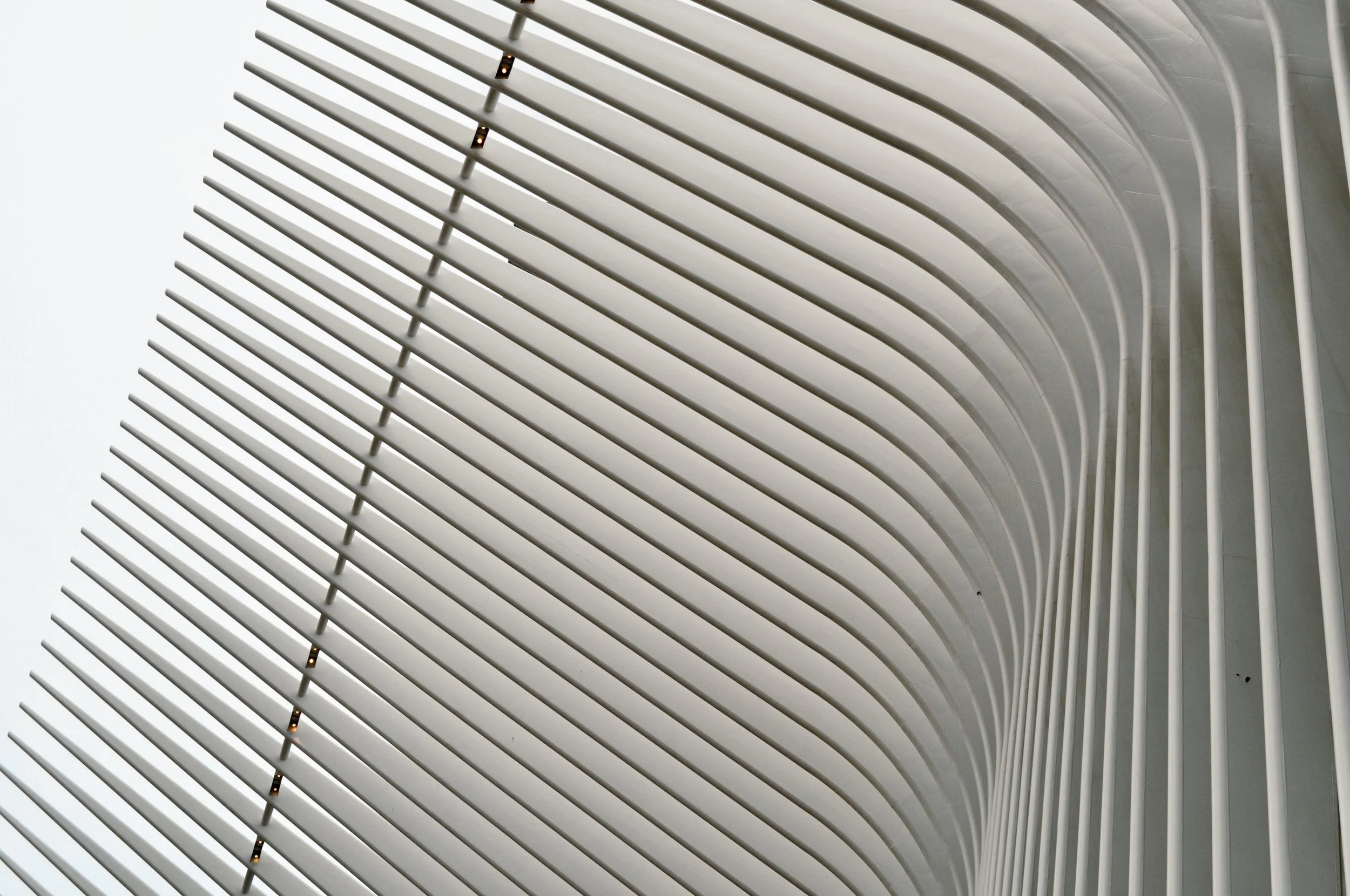NY - WTC 1.jpg