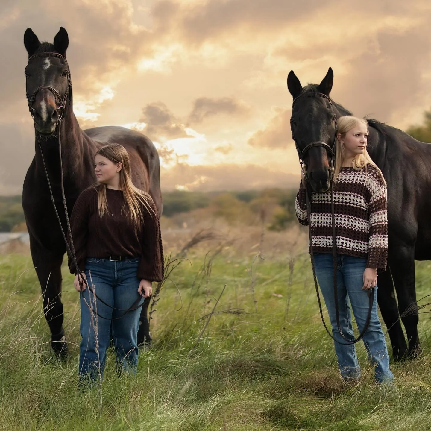 IMMEDIATE SPOT 🚨on feed! #alert #omahaphotographer #iowaphotographer #nebraskaphotographer #horsephotography