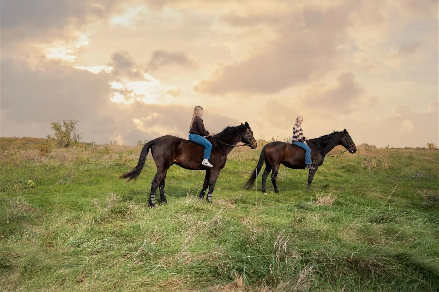 Willow &amp; her 🐎 #omahaphotographer #iowaphotographer #nebraskaphotographer #horsephotograpy #equestrianphotographer