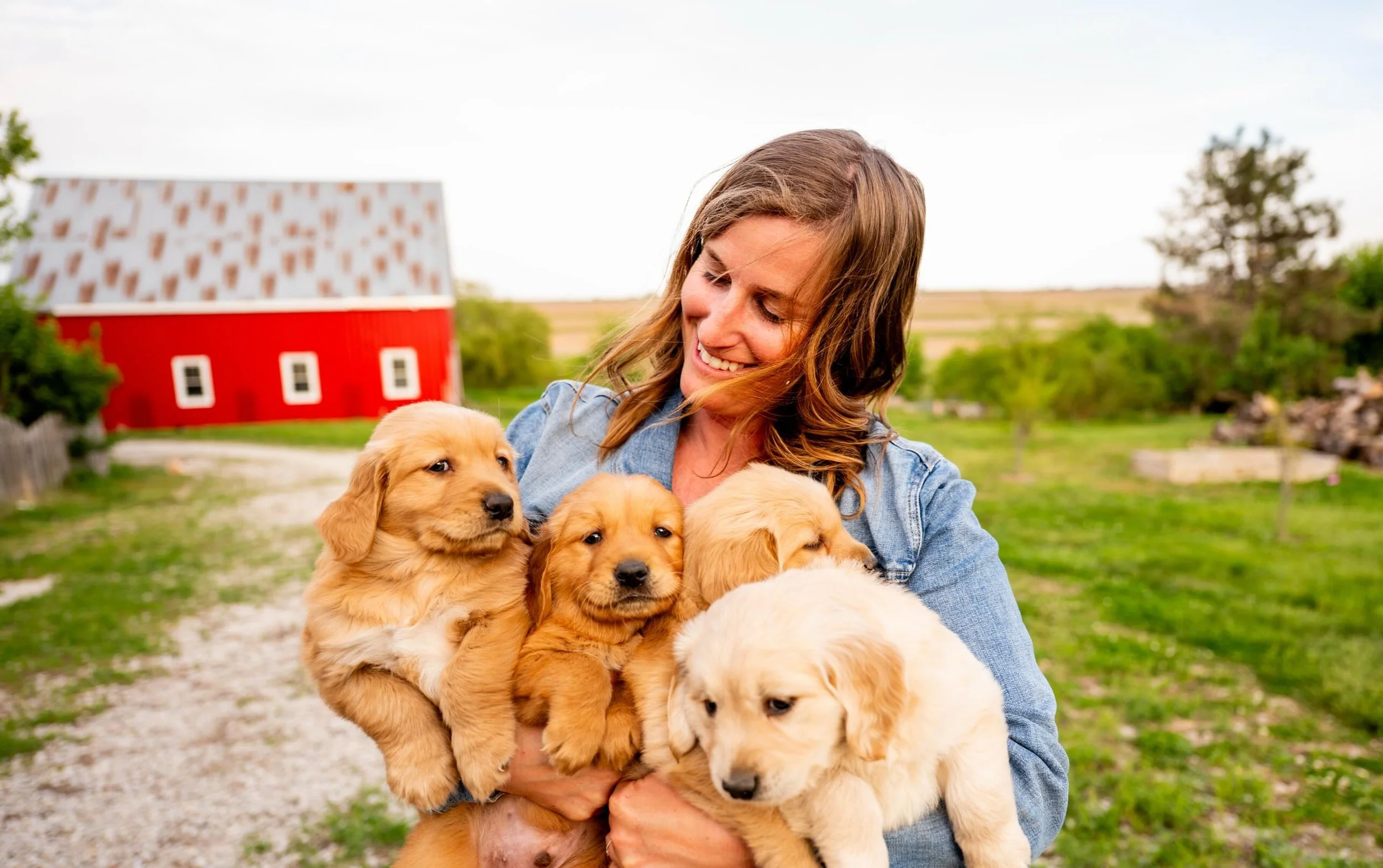 The Gerken Family Farm. 🐄🐓 🐷🐶 What a blast this session was. It&rsquo;s almost like you can hear the photos. #brandingphotographer #iowaphotographer #farmphotos