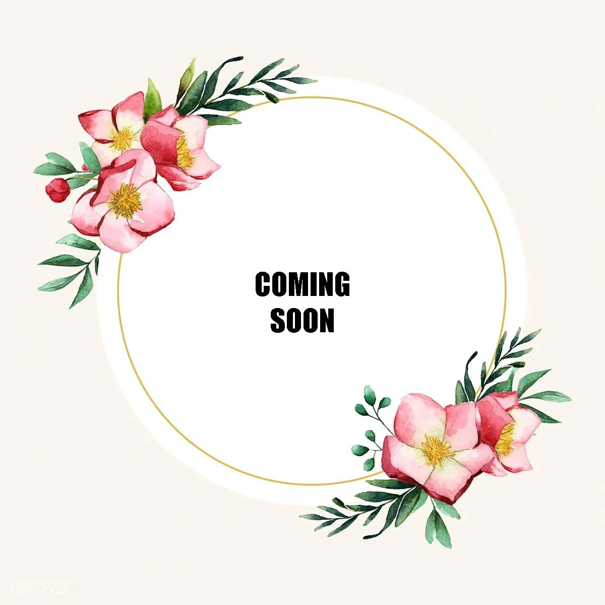 f81cb76e1b89a8abb30652ae97c5eb12 copy.jpg