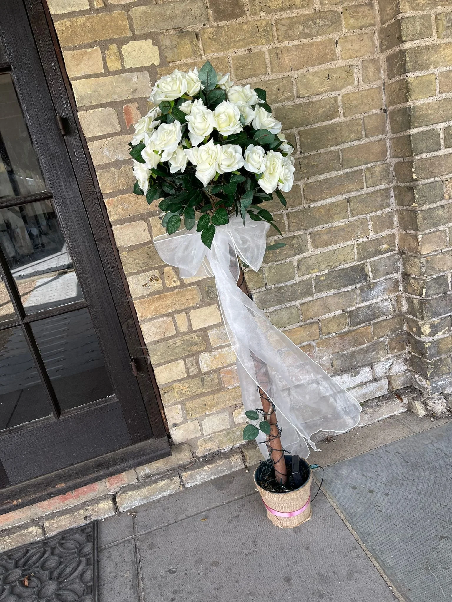 WhatsApp Image 2022-04-26 at 10.09.21 PM.jpeg