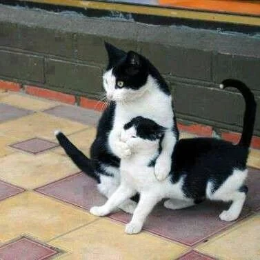 Is Your Marketing Too Loud?