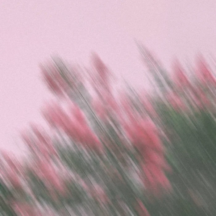 Playlist 2.26.24 