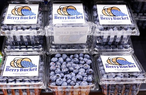 the-berry-bucket-blueberries.jpg