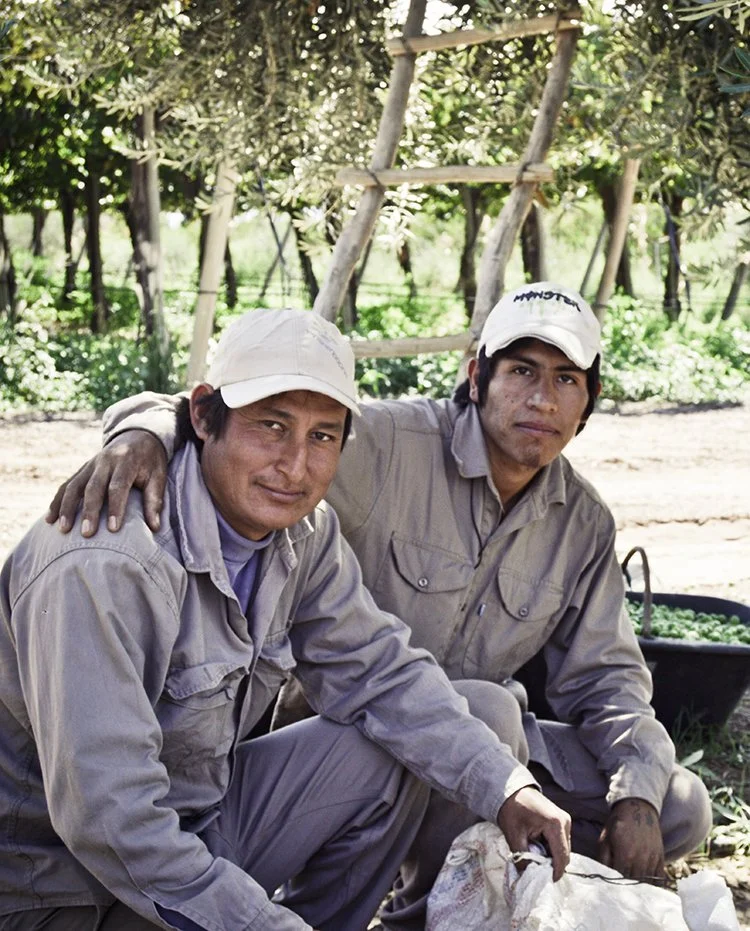 LRC-2Guys in Vineyard.jpg
