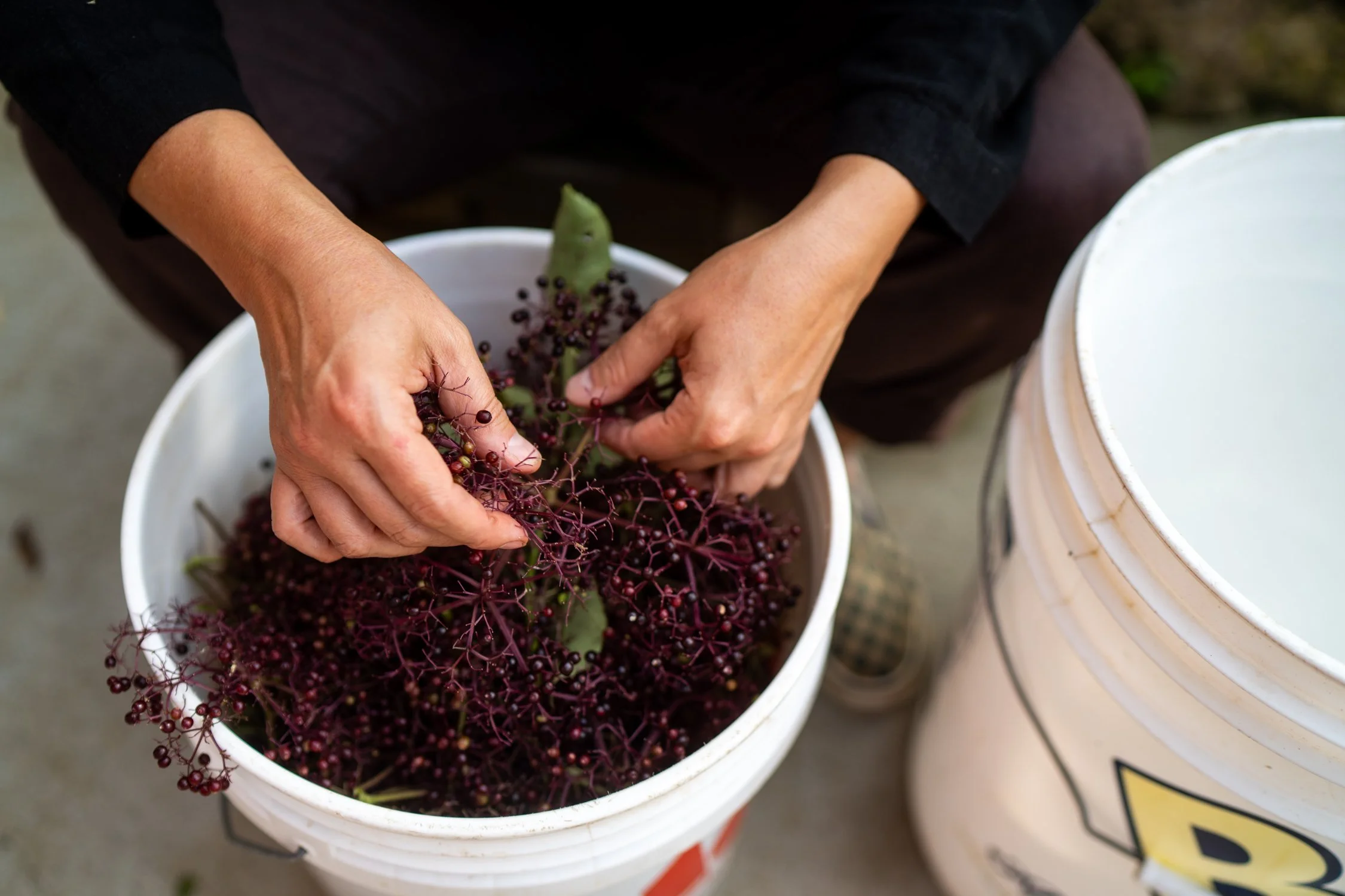 Copy of 250829_lasmujeras_0125.jpeg