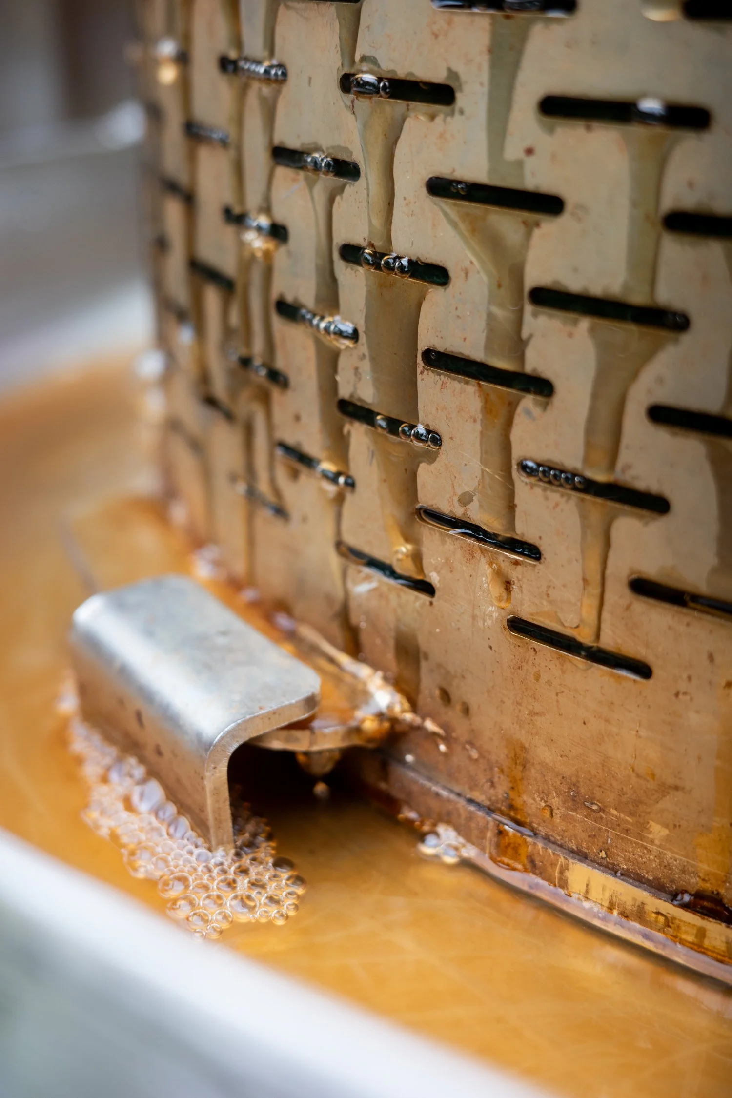 Copy of 250829_lasmujeres_ricoh_0008.jpeg