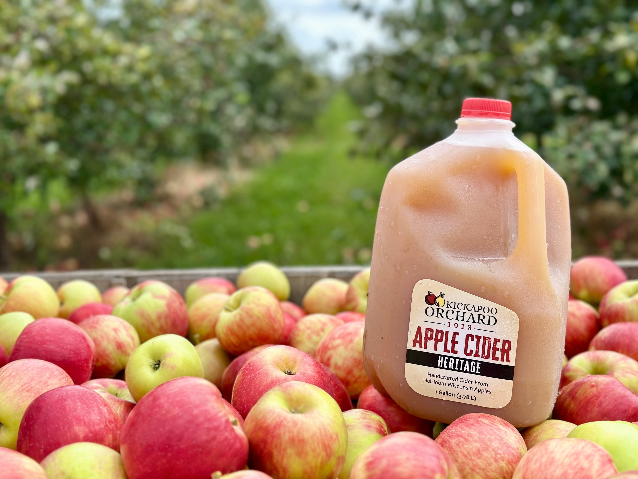 1913 Kickapoo Orchard