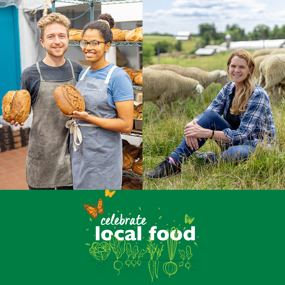 Sample: Local Bread and Cheese 