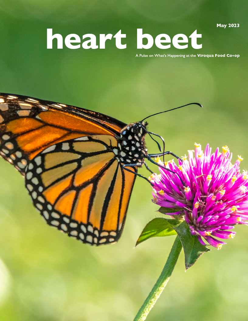  2023.05 Heart Beet-FINAL-cover.png