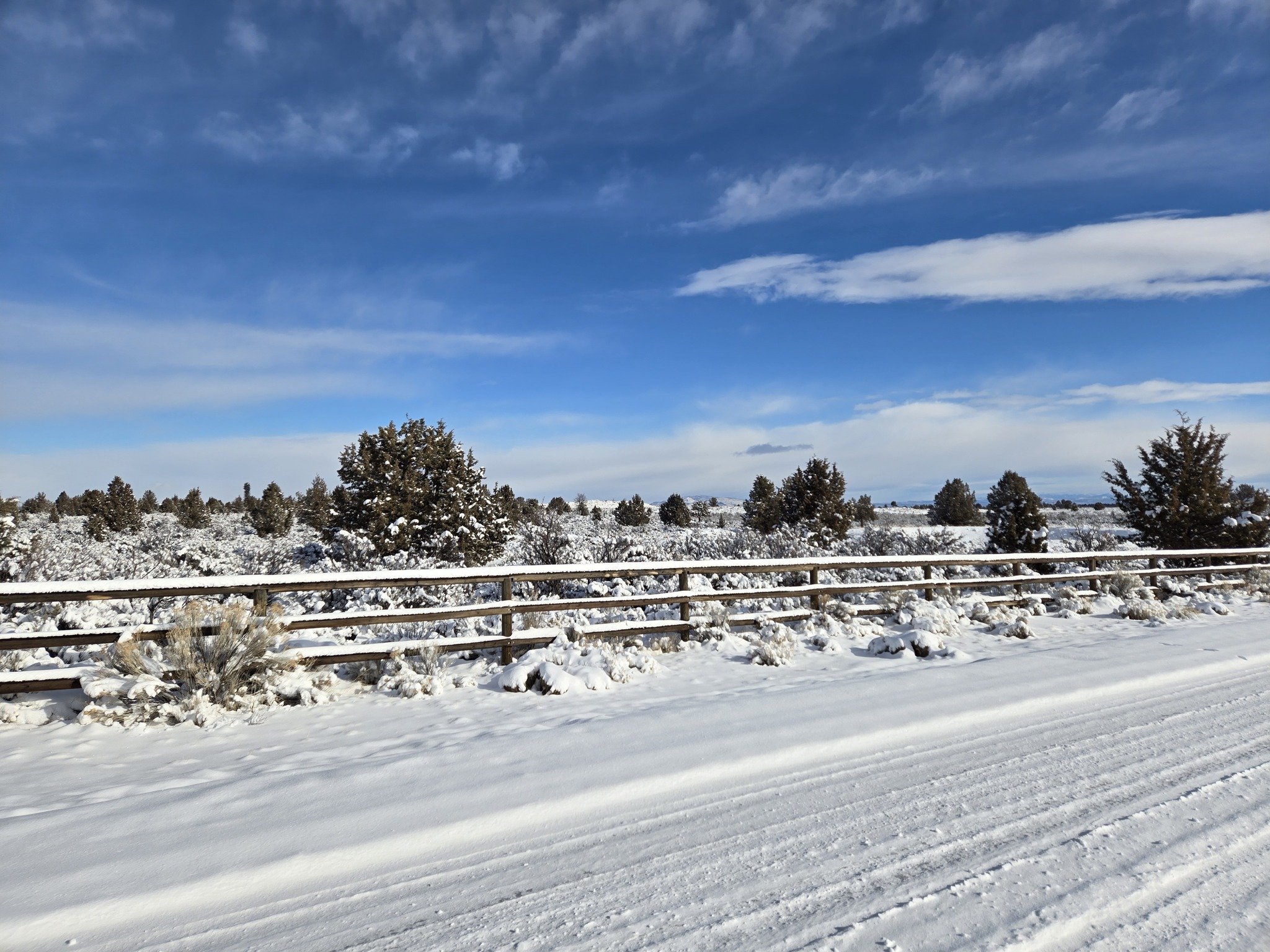 2025-02-07 SDM-snow7.jpg