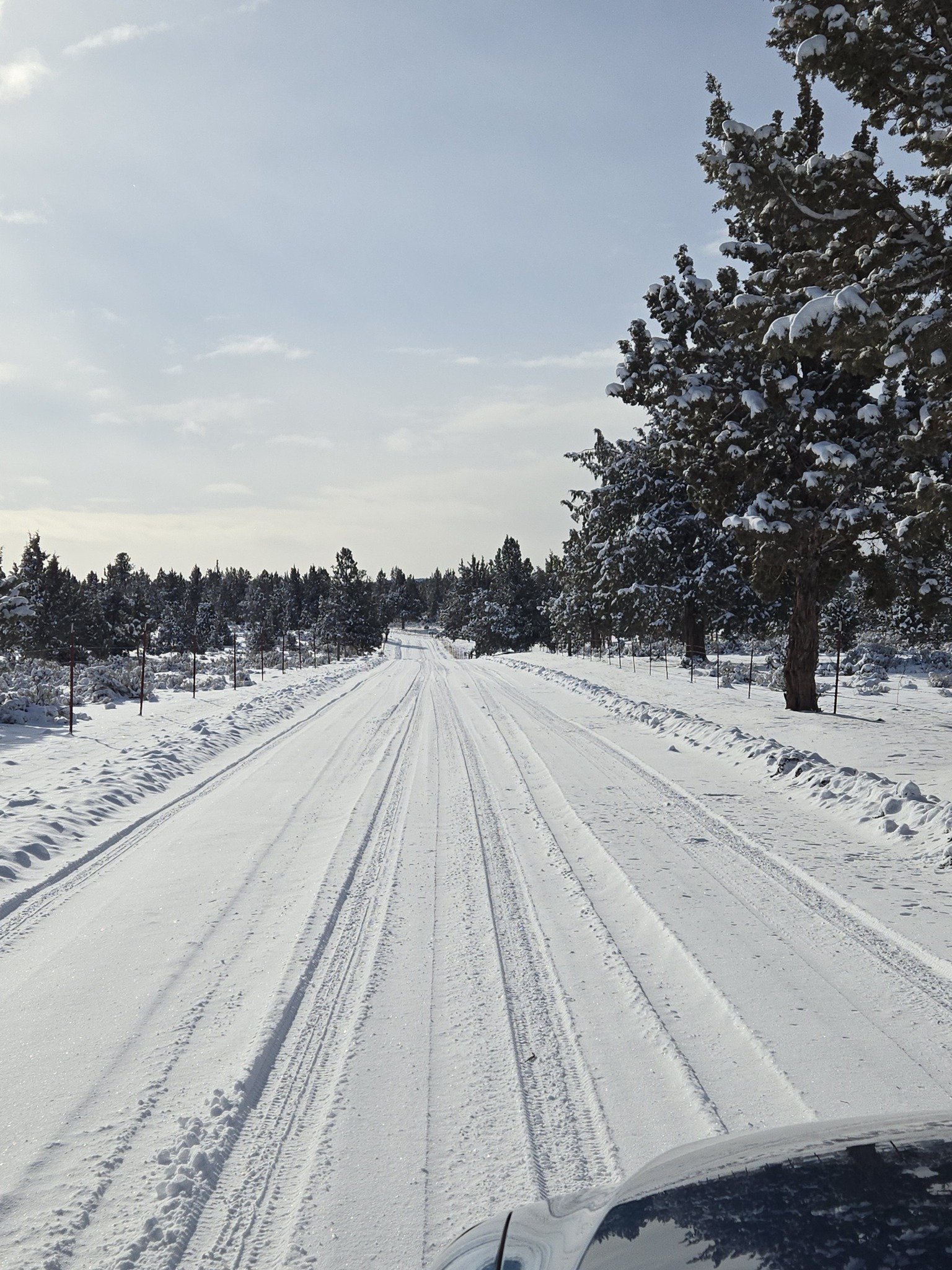 2025-02-07 SDM-snow5.jpg